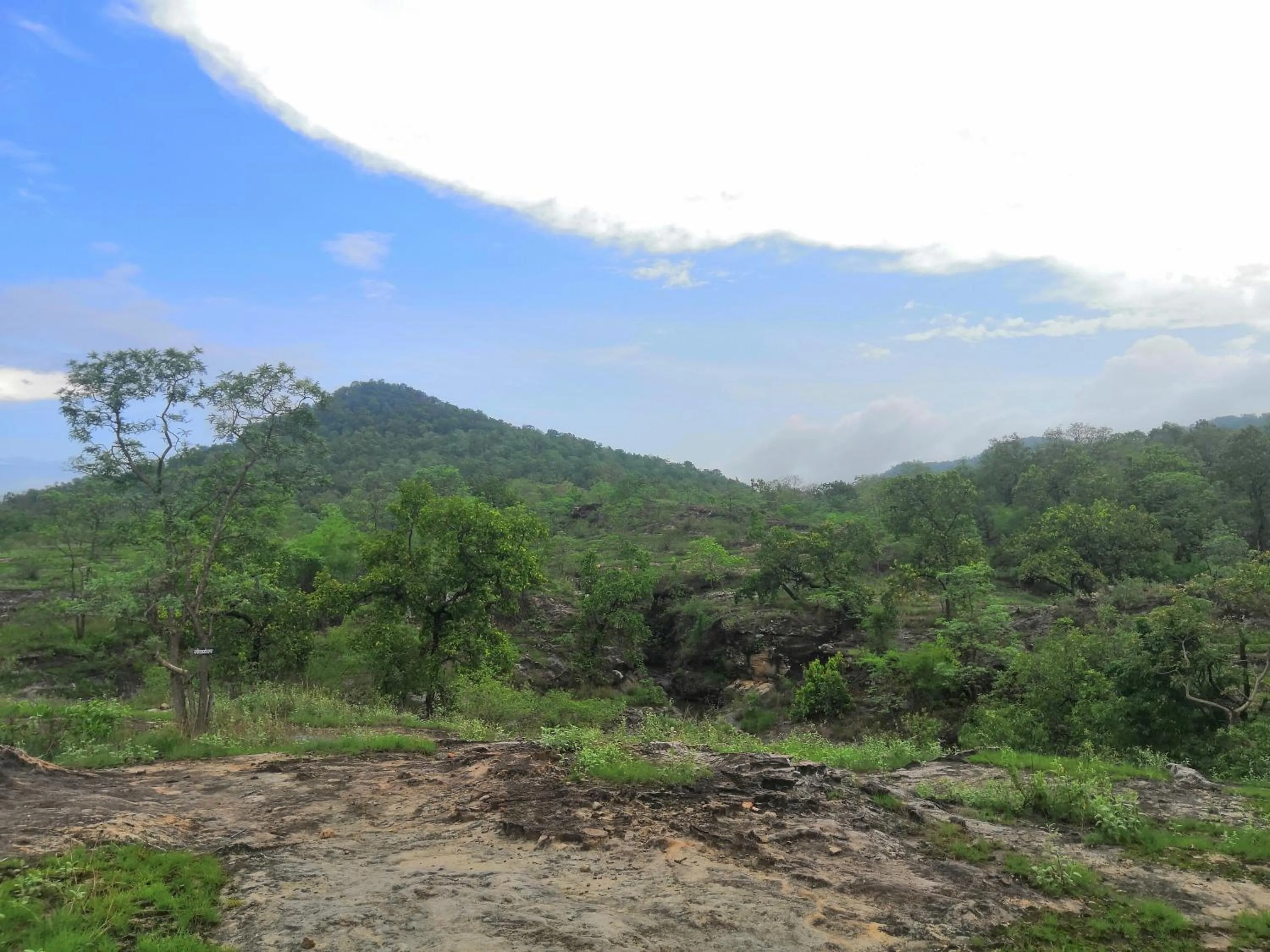 Natural landscape in Bandhavgarh Jungle Lodge