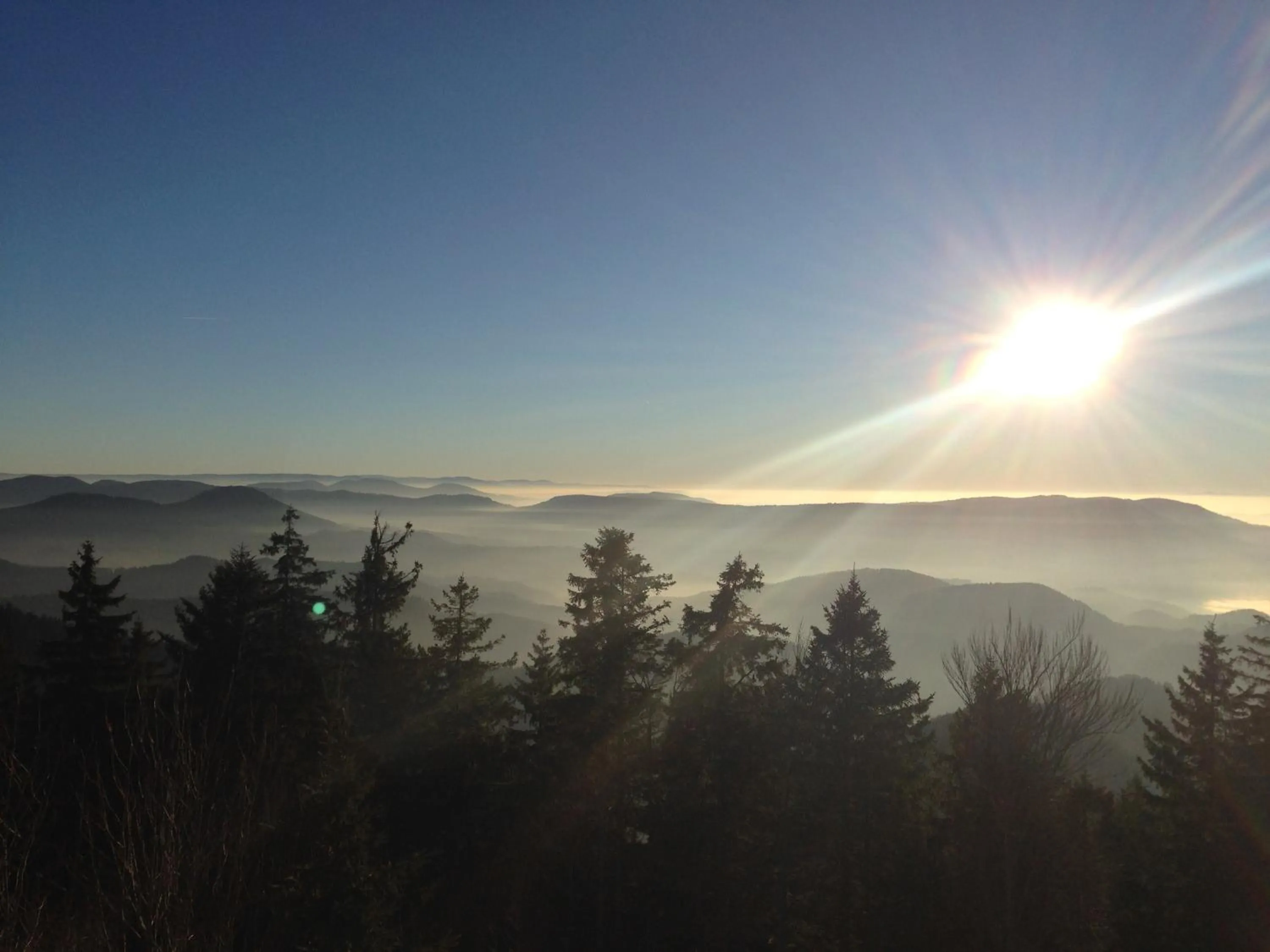 Day in Pflugwirts Hotel und Gasthaus