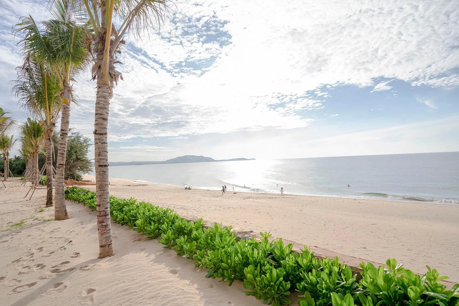 Beach in Apec Nirvana Peace Mui Ne