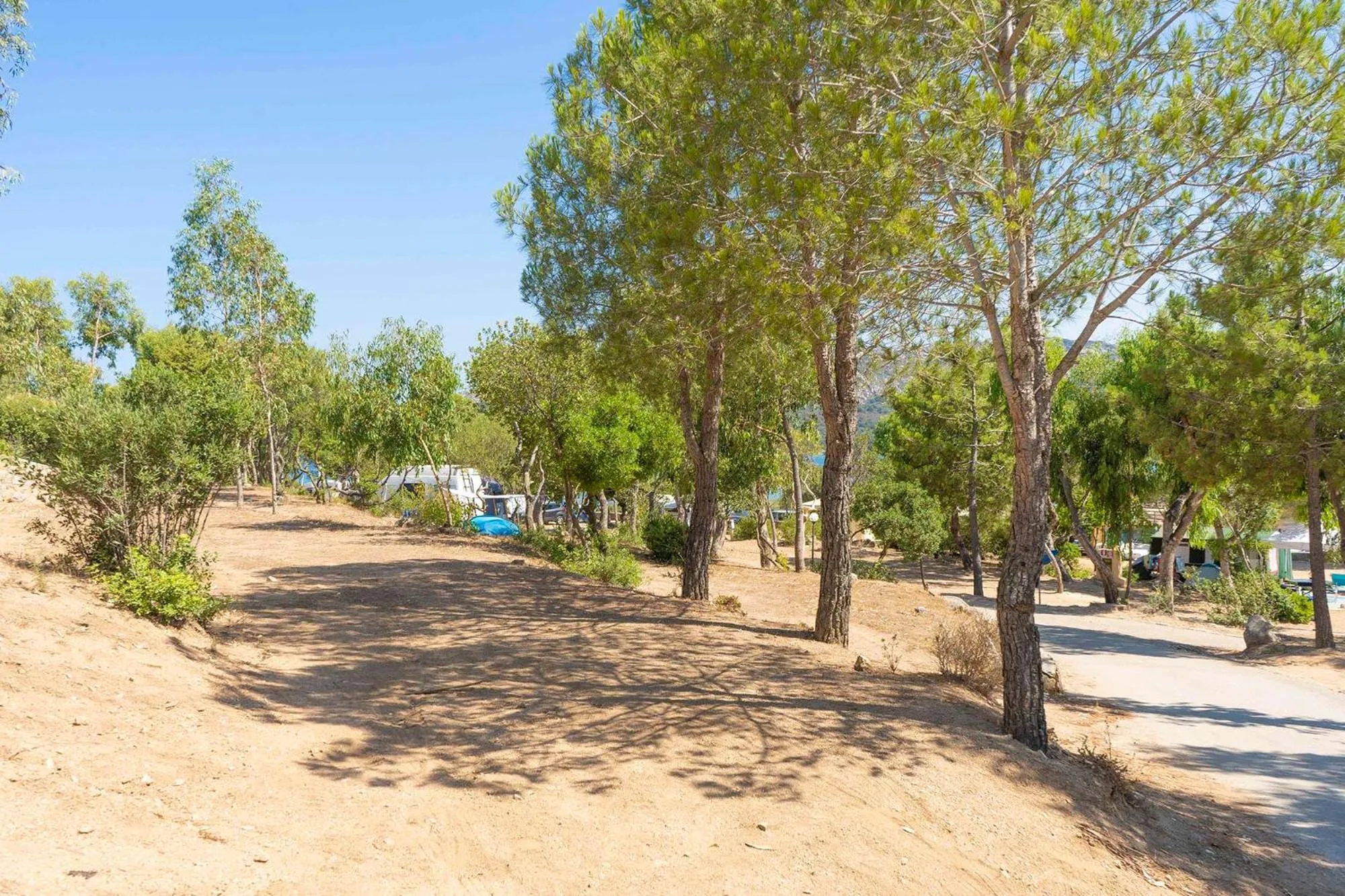 Natural landscape in Camping Village Capo D'Orso