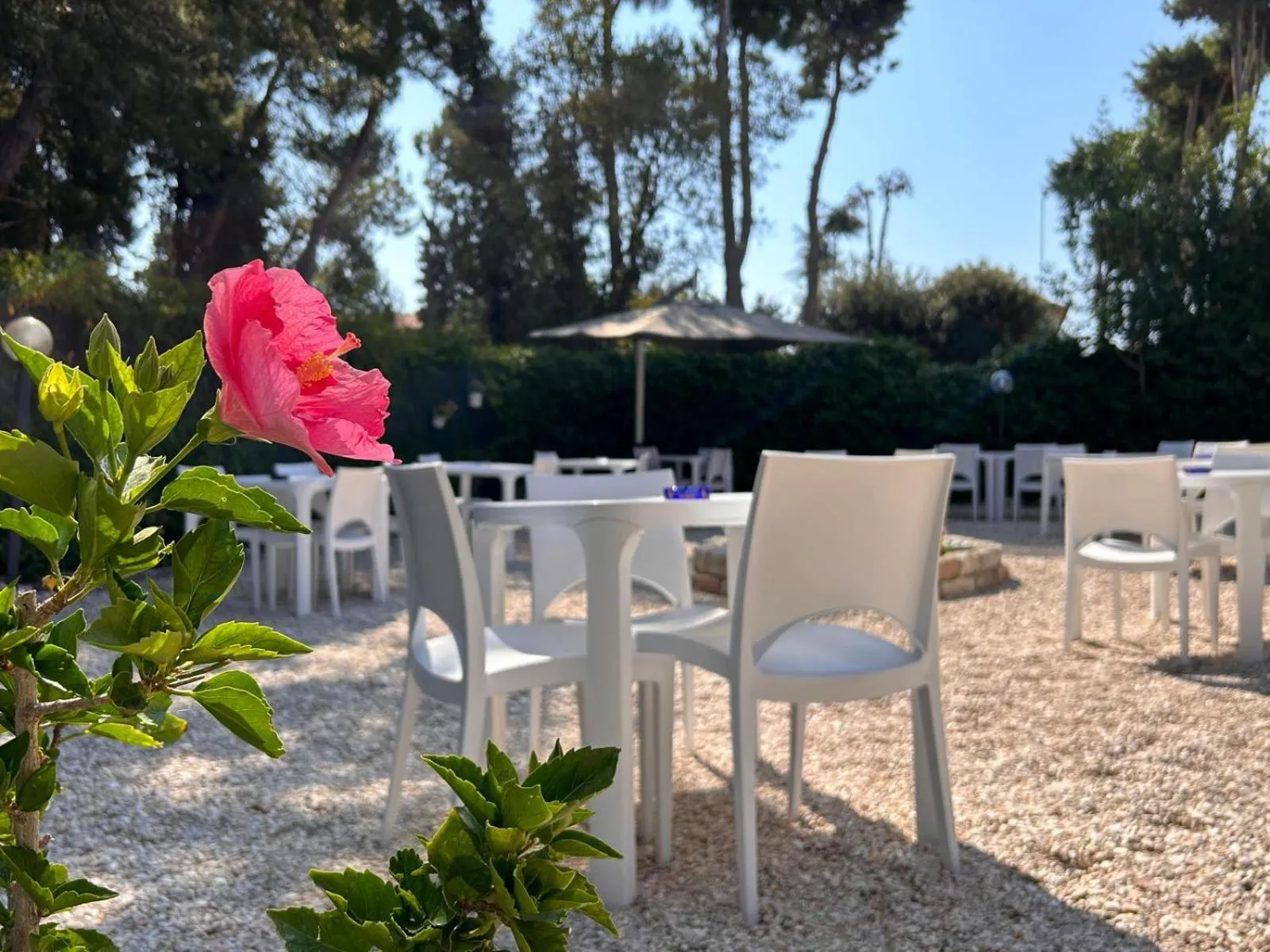 Garden in Hotel "Il Parco" B&B Sirolo