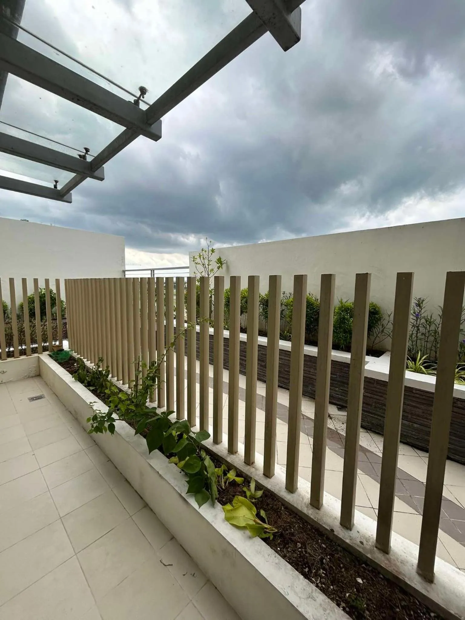 The Verdin at Maple Grove