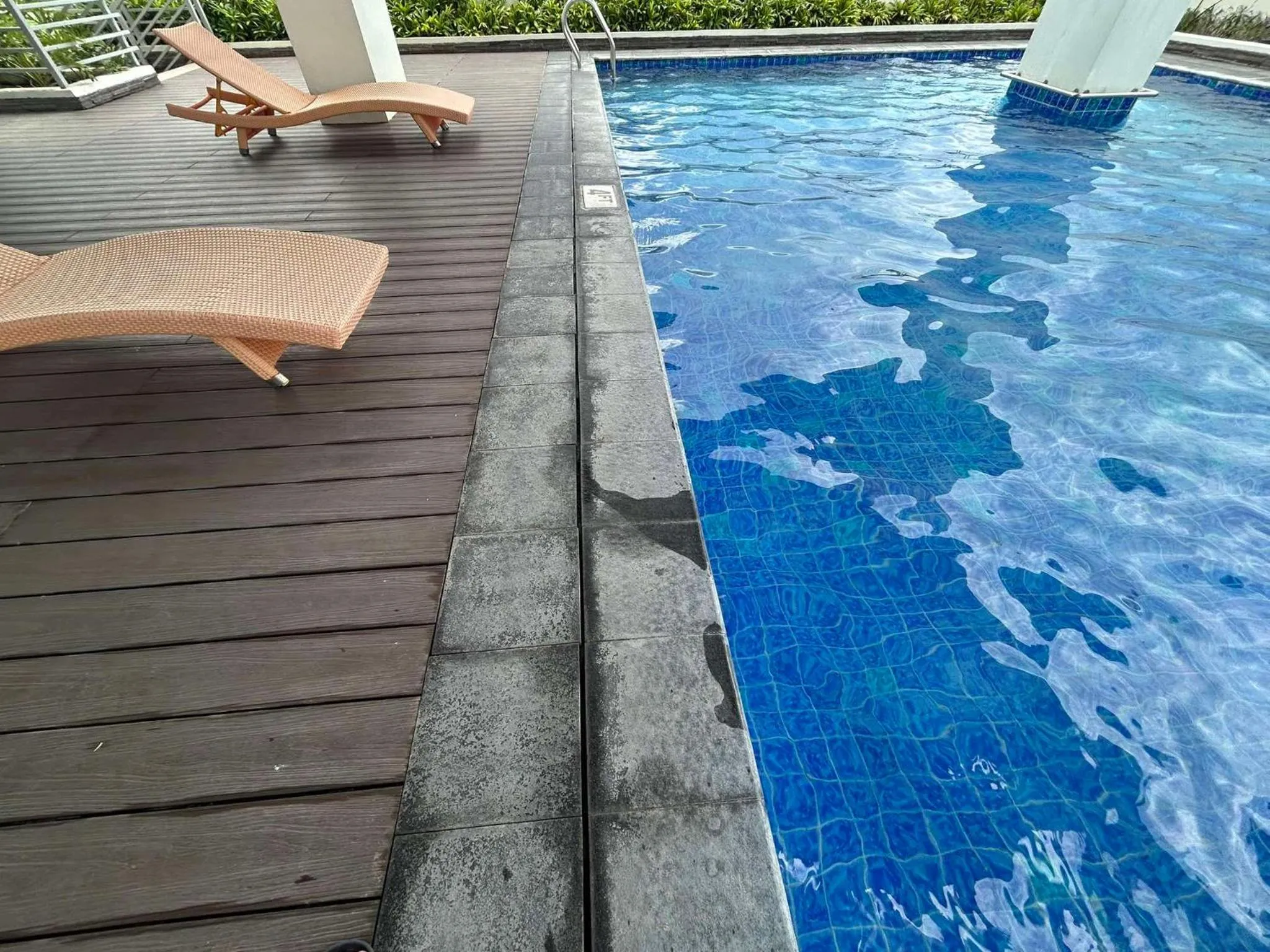 The Verdin at Maple Grove