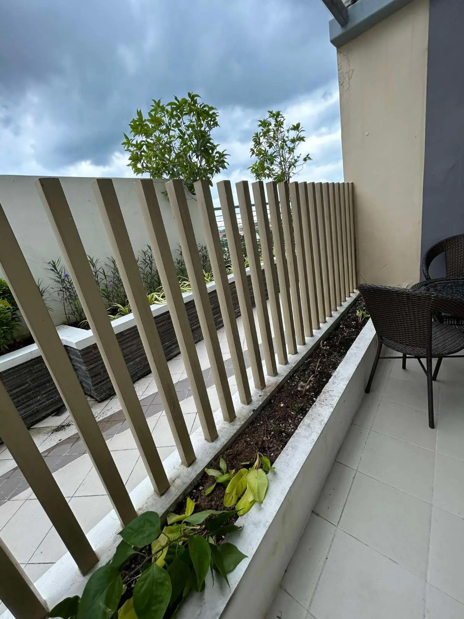 The Verdin at Maple Grove