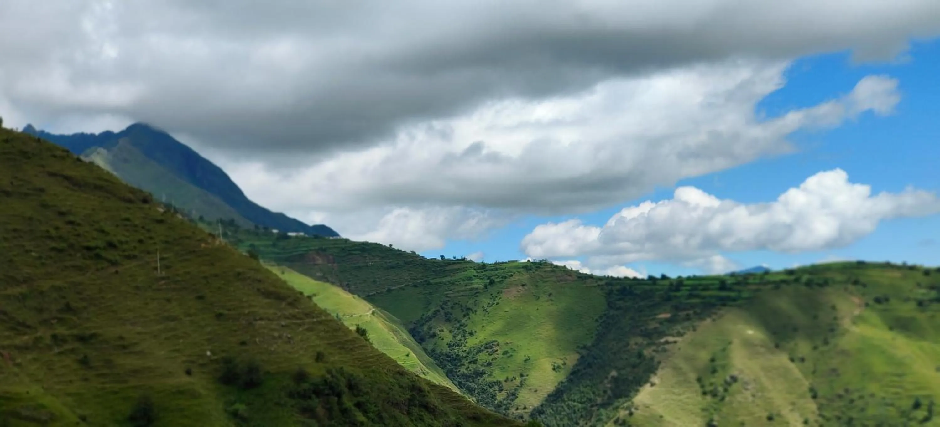 Natural landscape in hotel chakrata green and camping