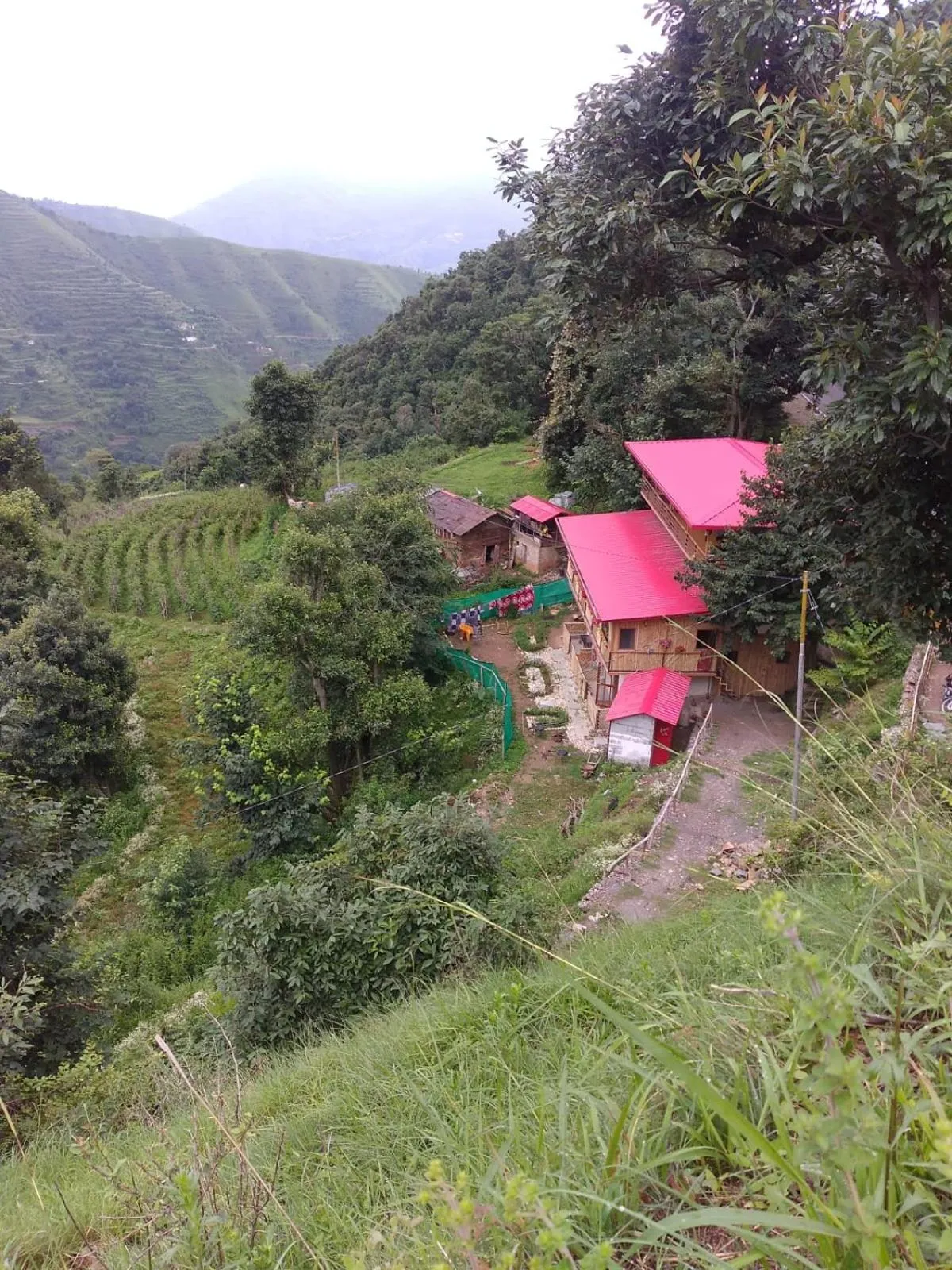 Property building in hotel chakrata green and camping