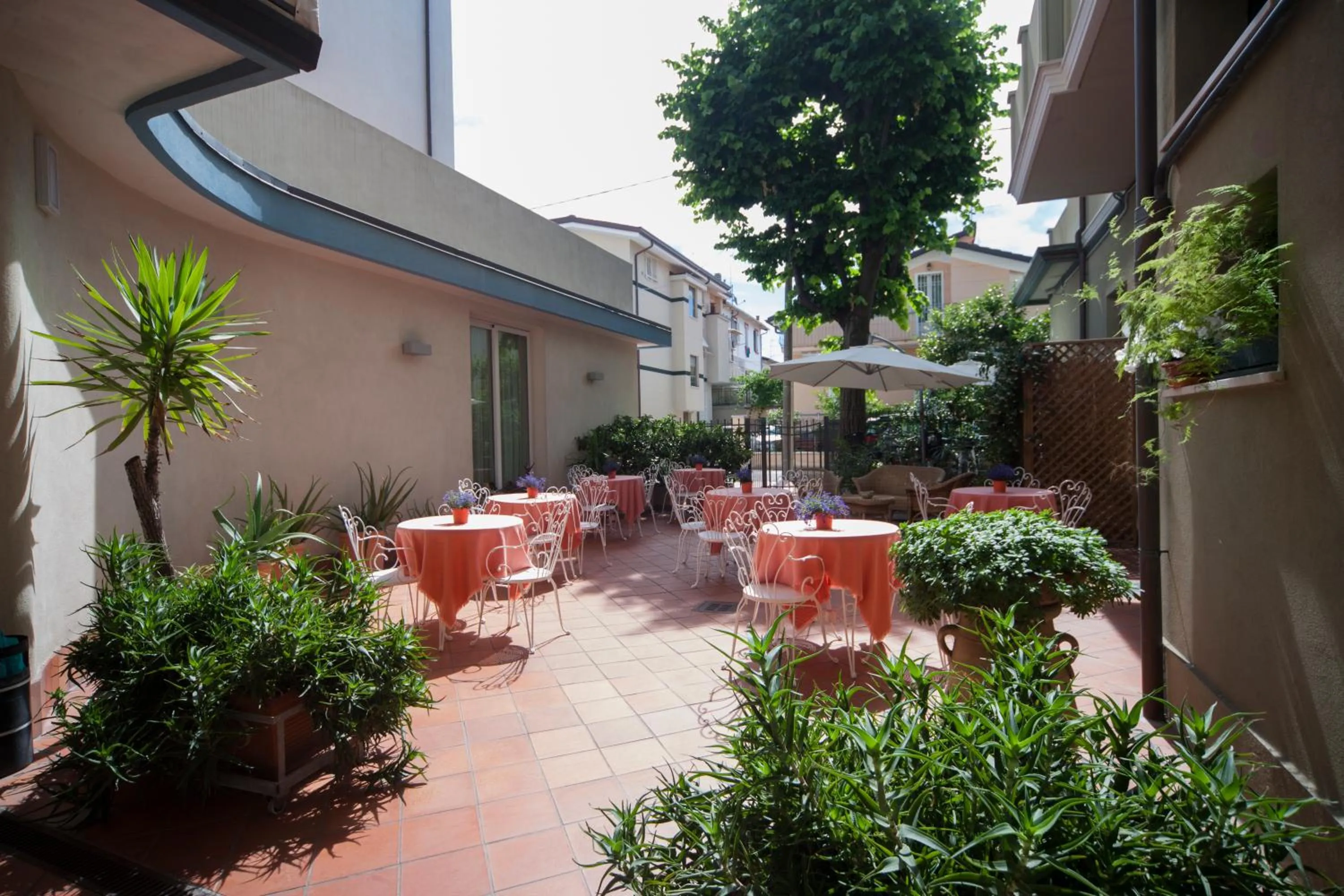 Garden in Hotel Ricchi