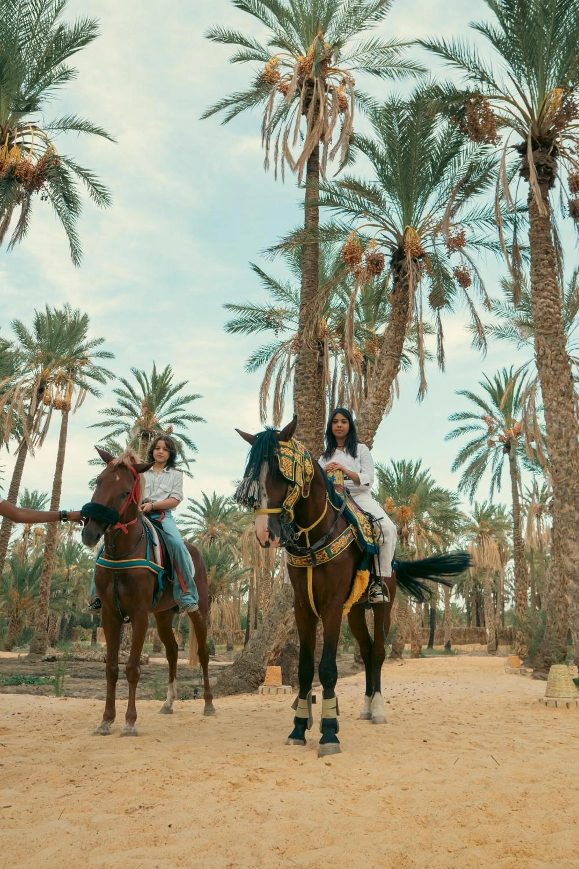 Horse-riding in Villa Taouzert