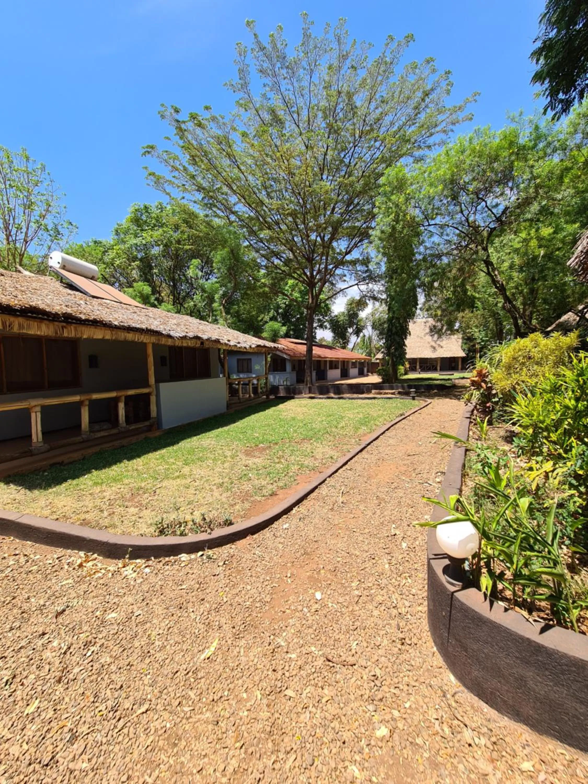 Garden in Honey Badger Lodge