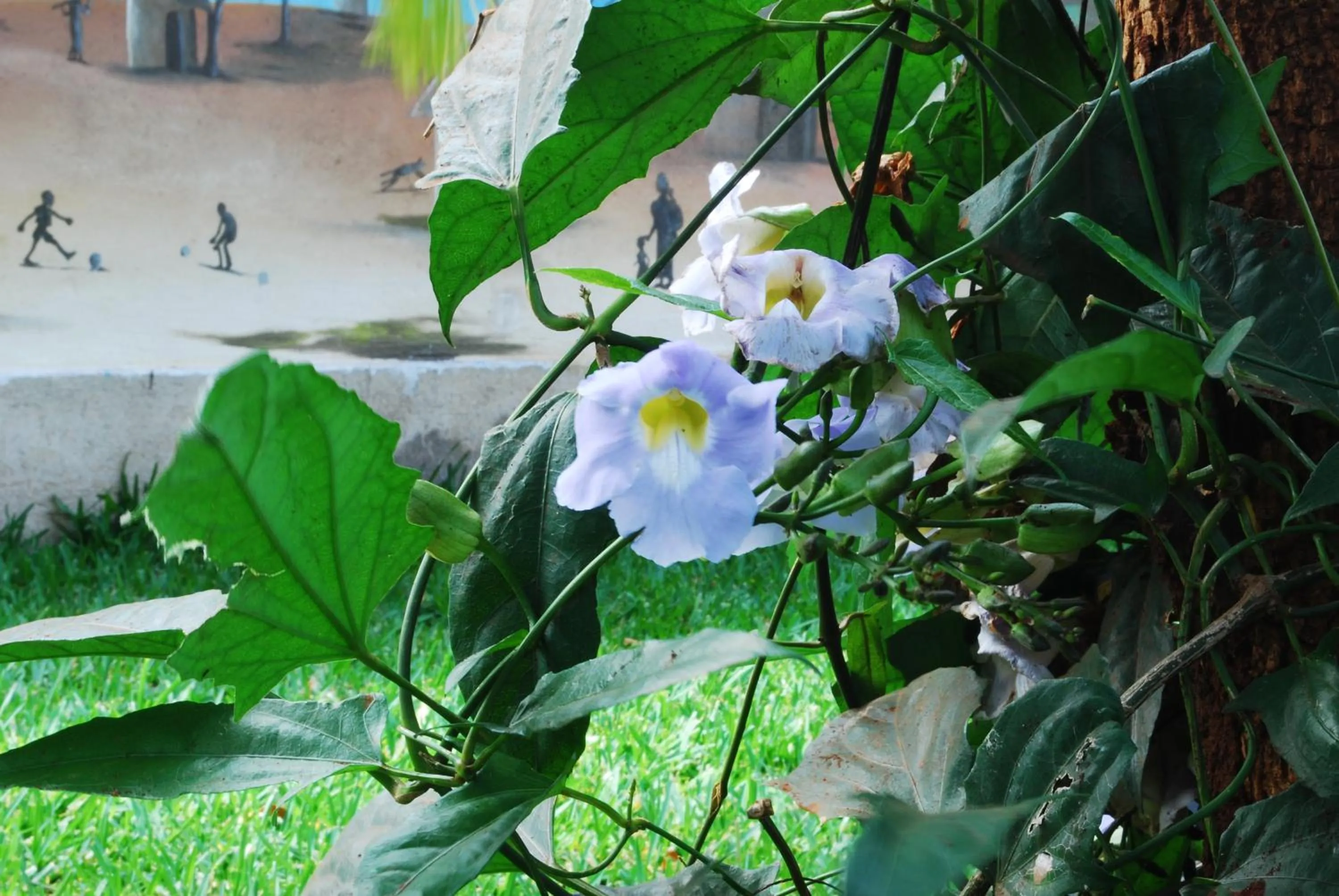 Other in Honey Badger Lodge