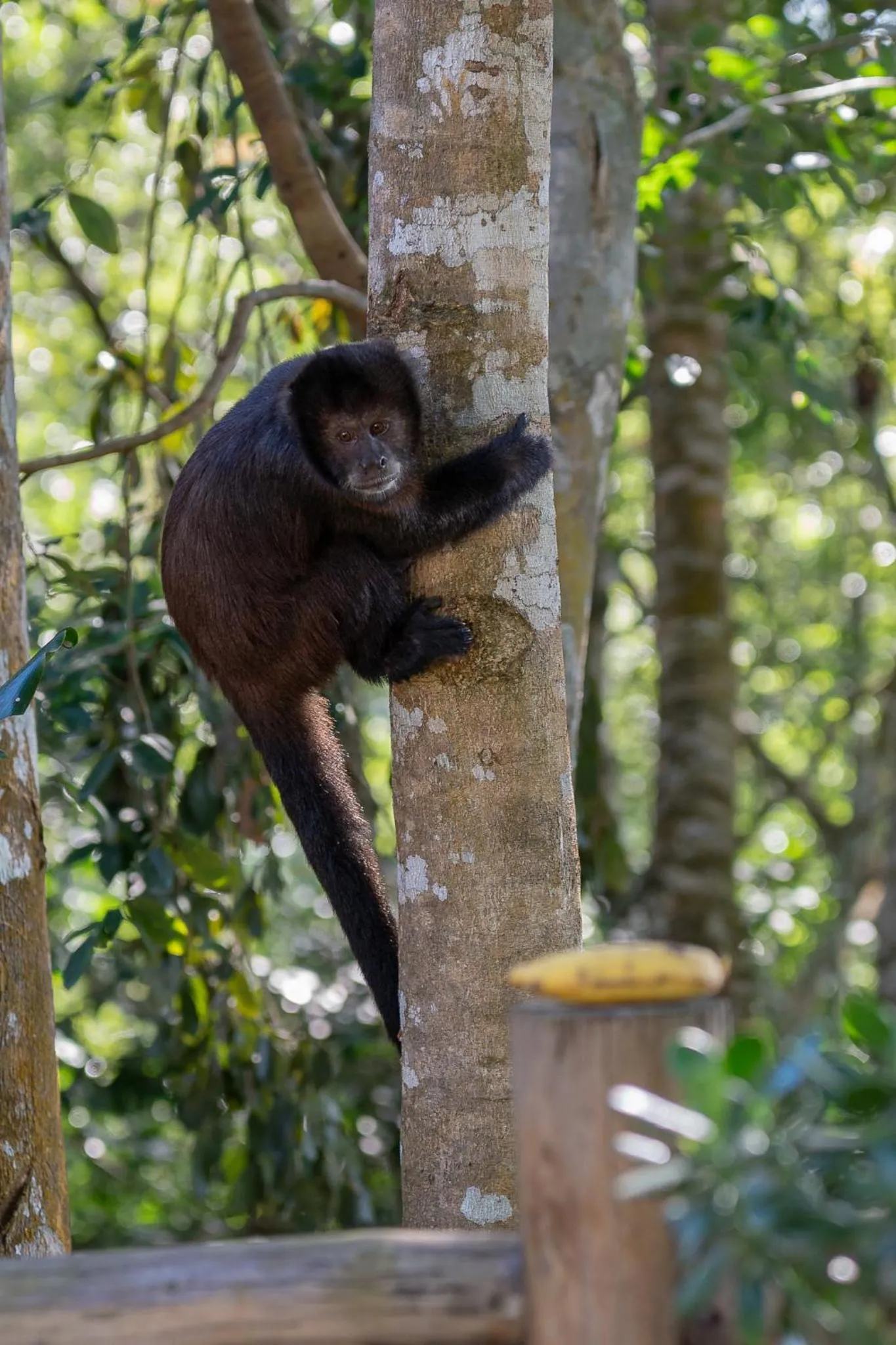 Day in O Canto do Vale Trancoso