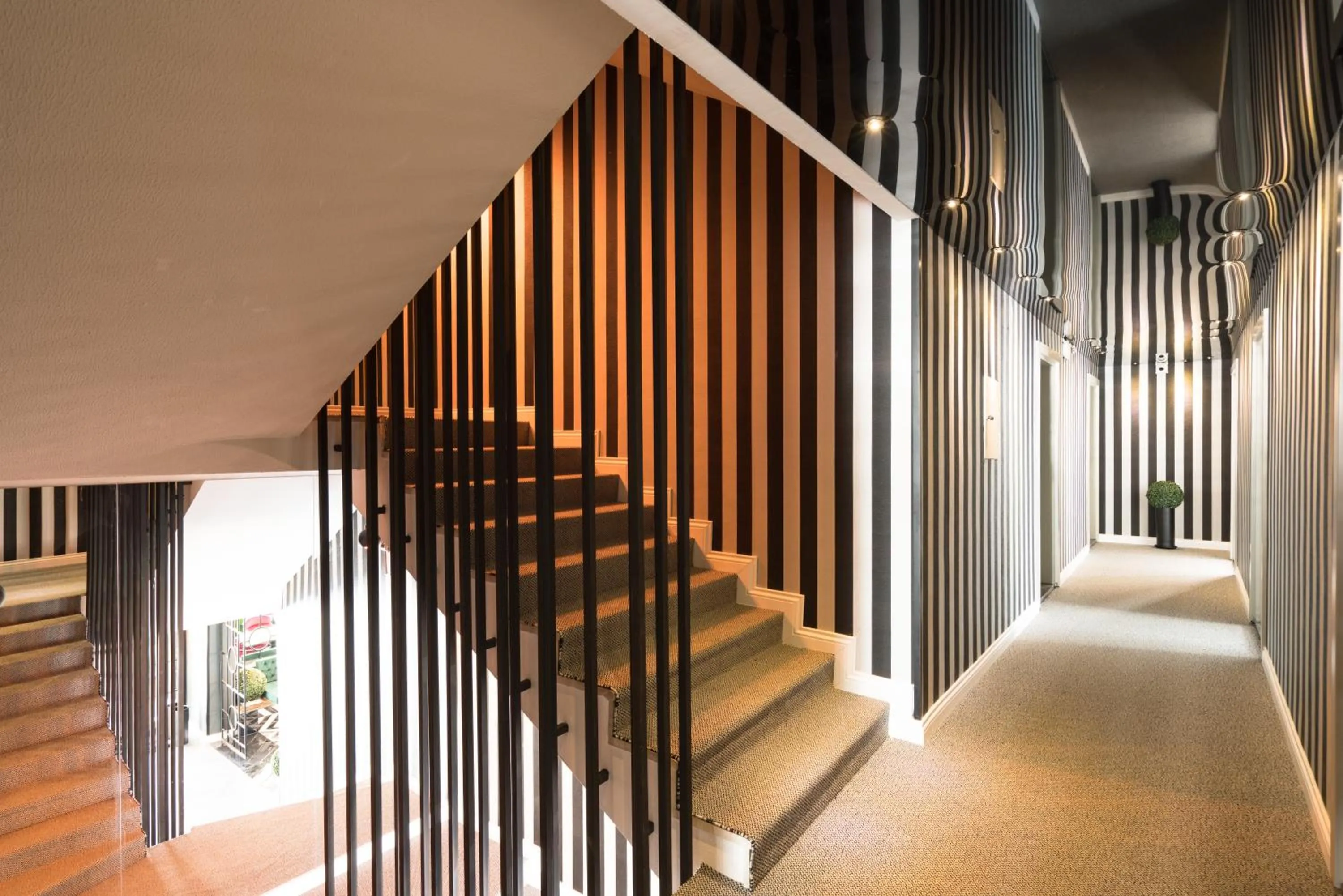 Area and facilities in Basel Hotel