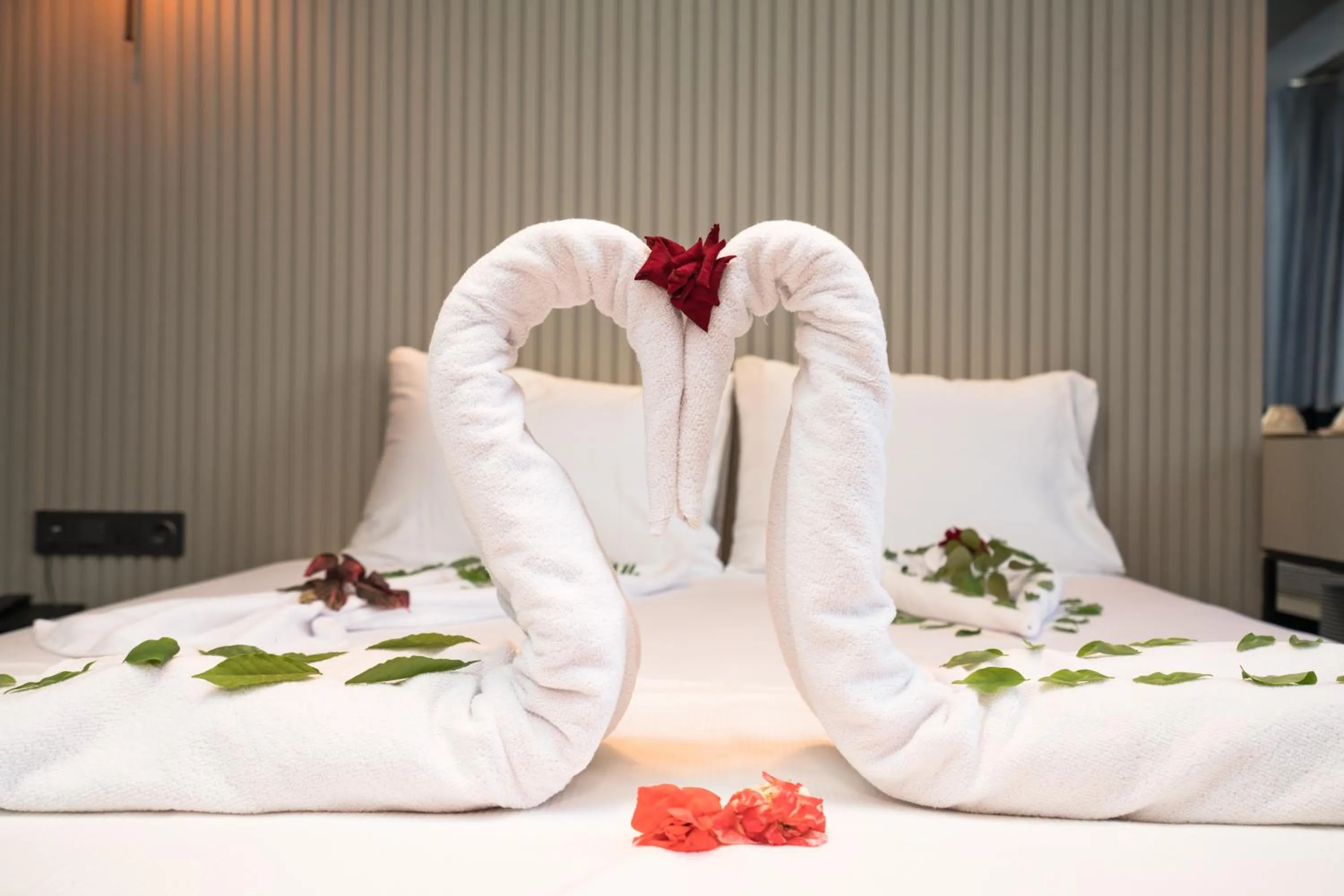 Economy Double Room in Basel Hotel