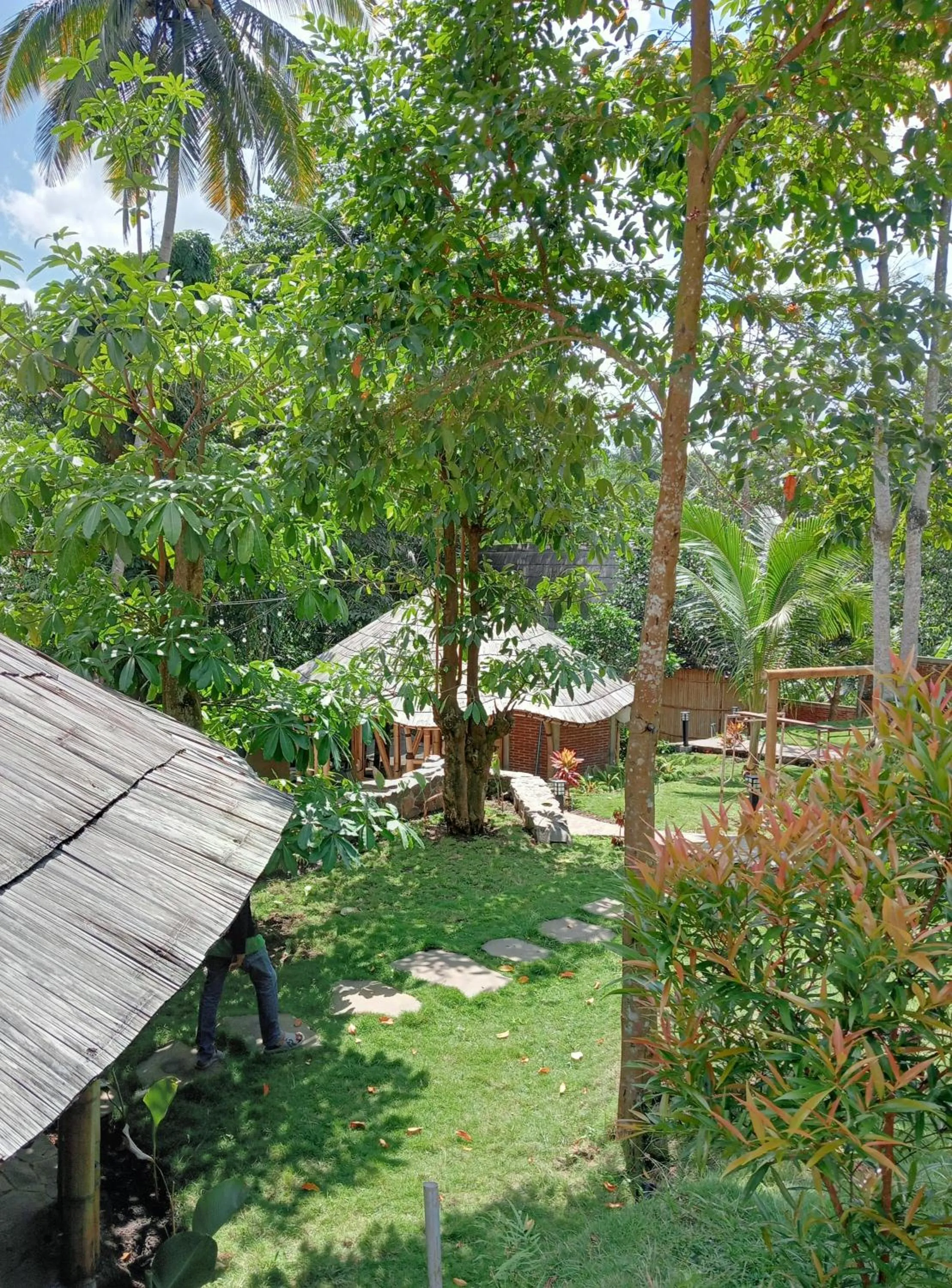 Natural landscape in The Osing Bamboo Resort - a LIBERTA Collection
