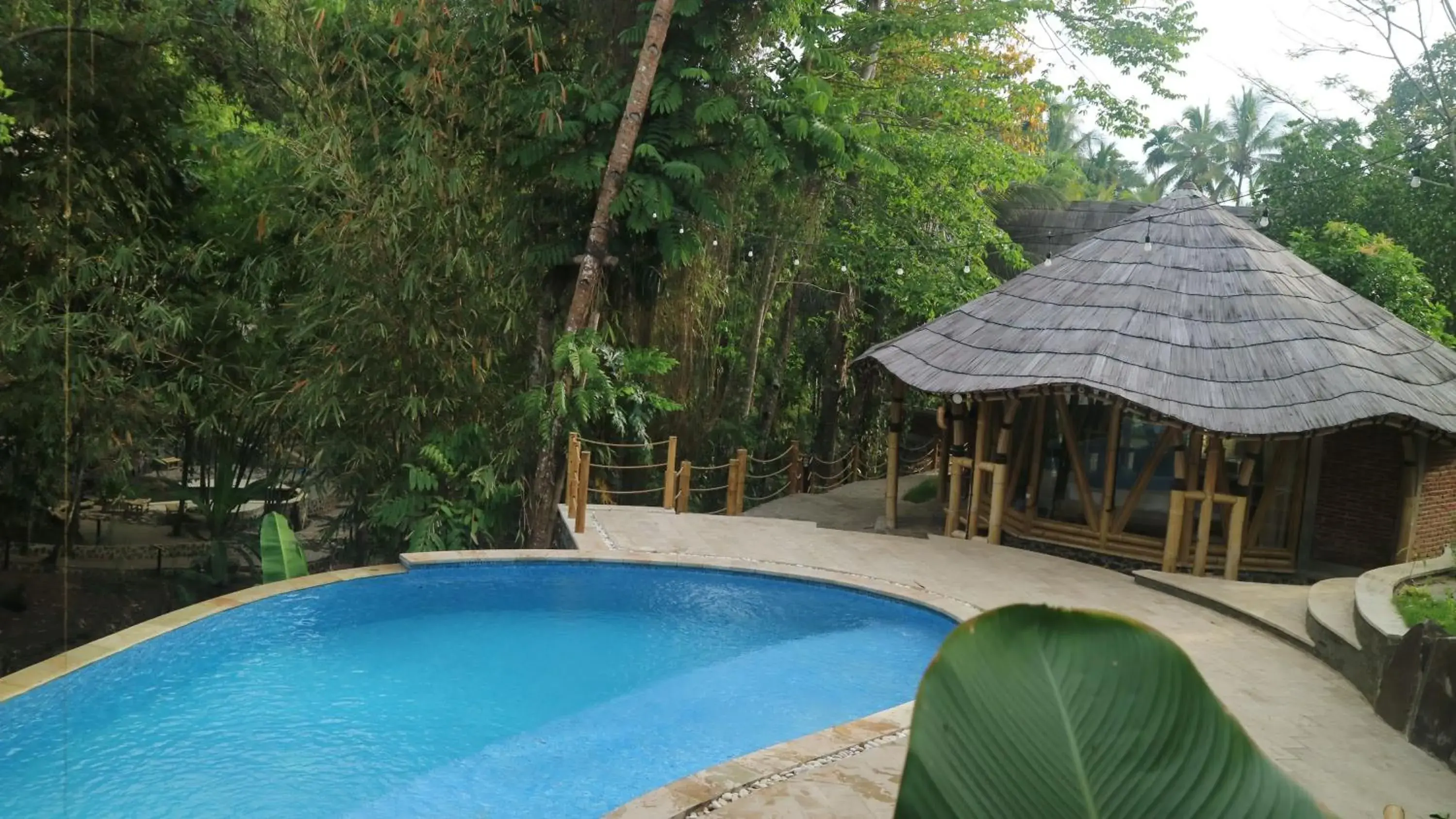 Pool view in The Osing Bamboo Resort - a LIBERTA Collection Pool view in The Osing Bamboo Resort - a LIBERTA Collection