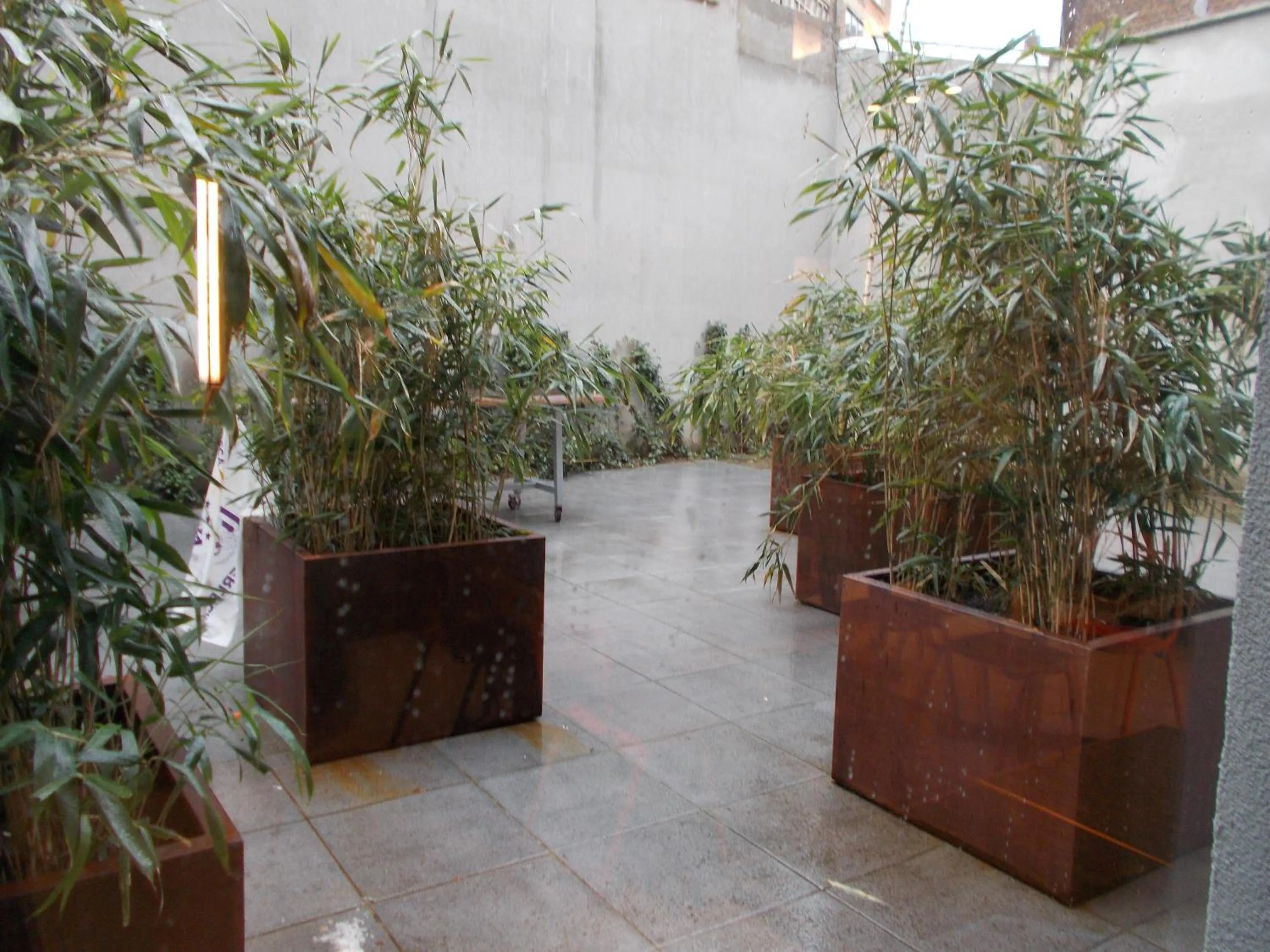 Day in Brxxl 5 City Centre Hostel