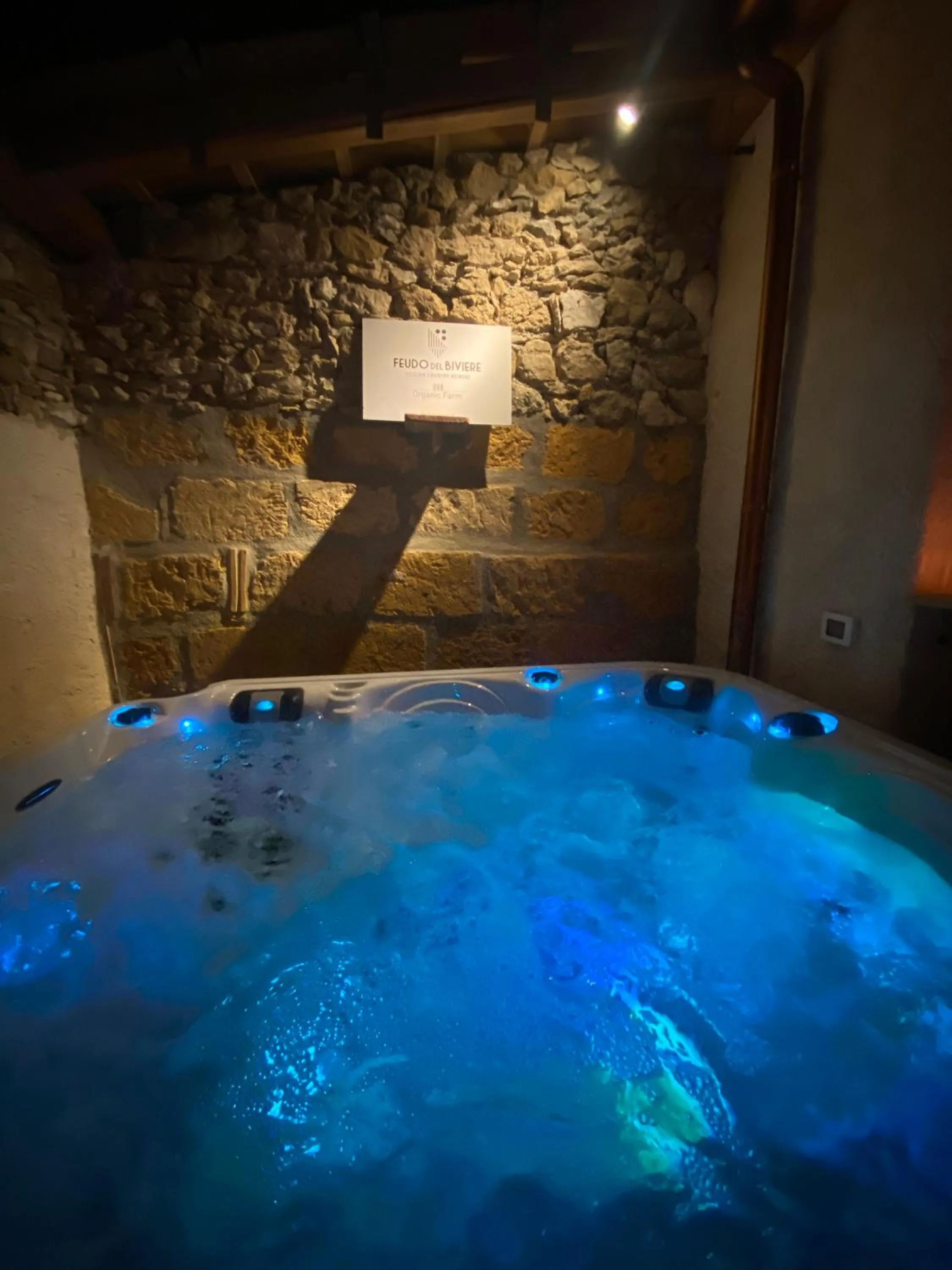 Spa and wellness centre/facilities in Feudo Del Biviere