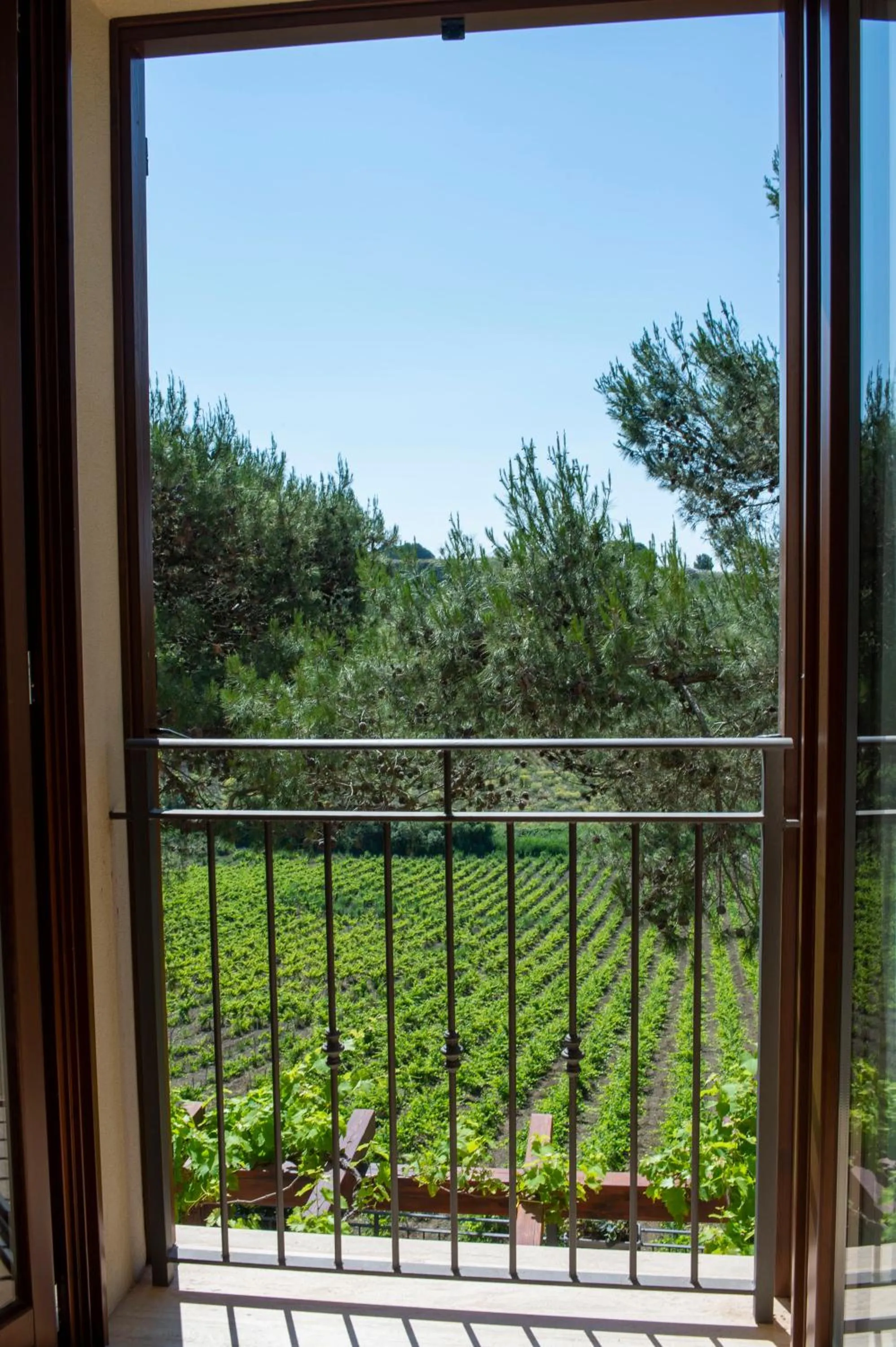 View (from property/room) in Feudo Del Biviere