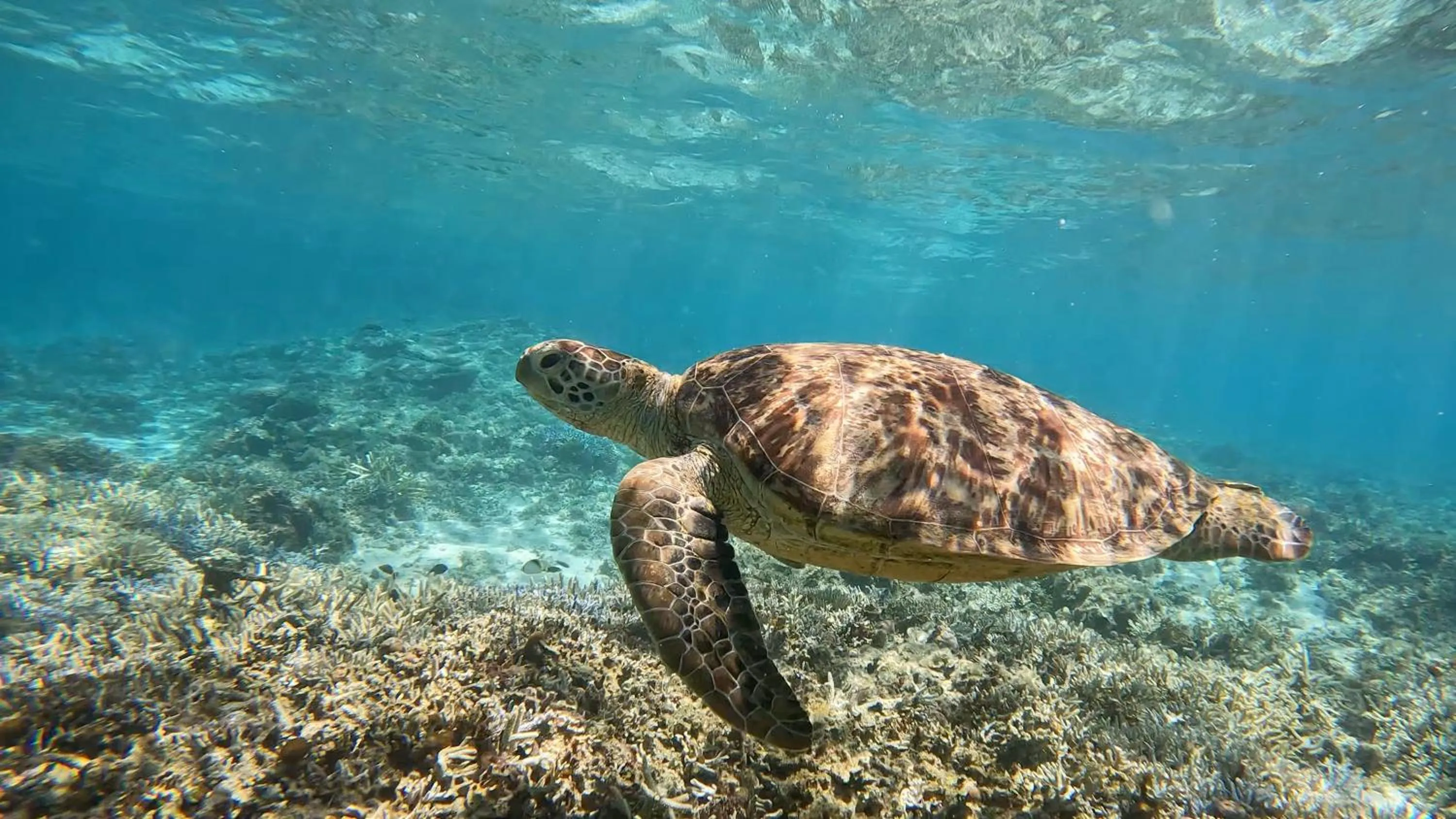 Activities in Zamamia International Guesthouse