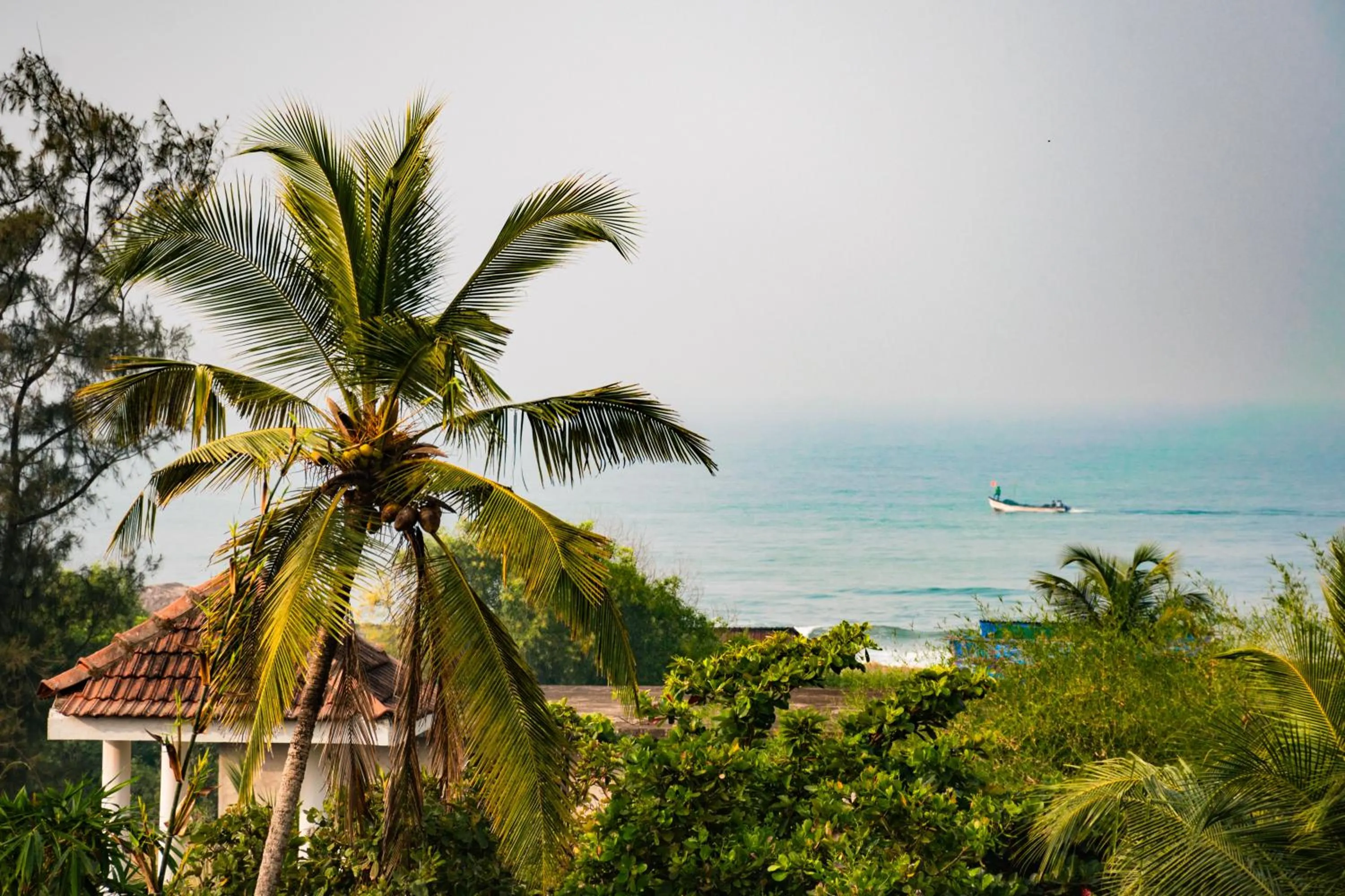 Last Minute Trip Hostel Morjim-By The Sea