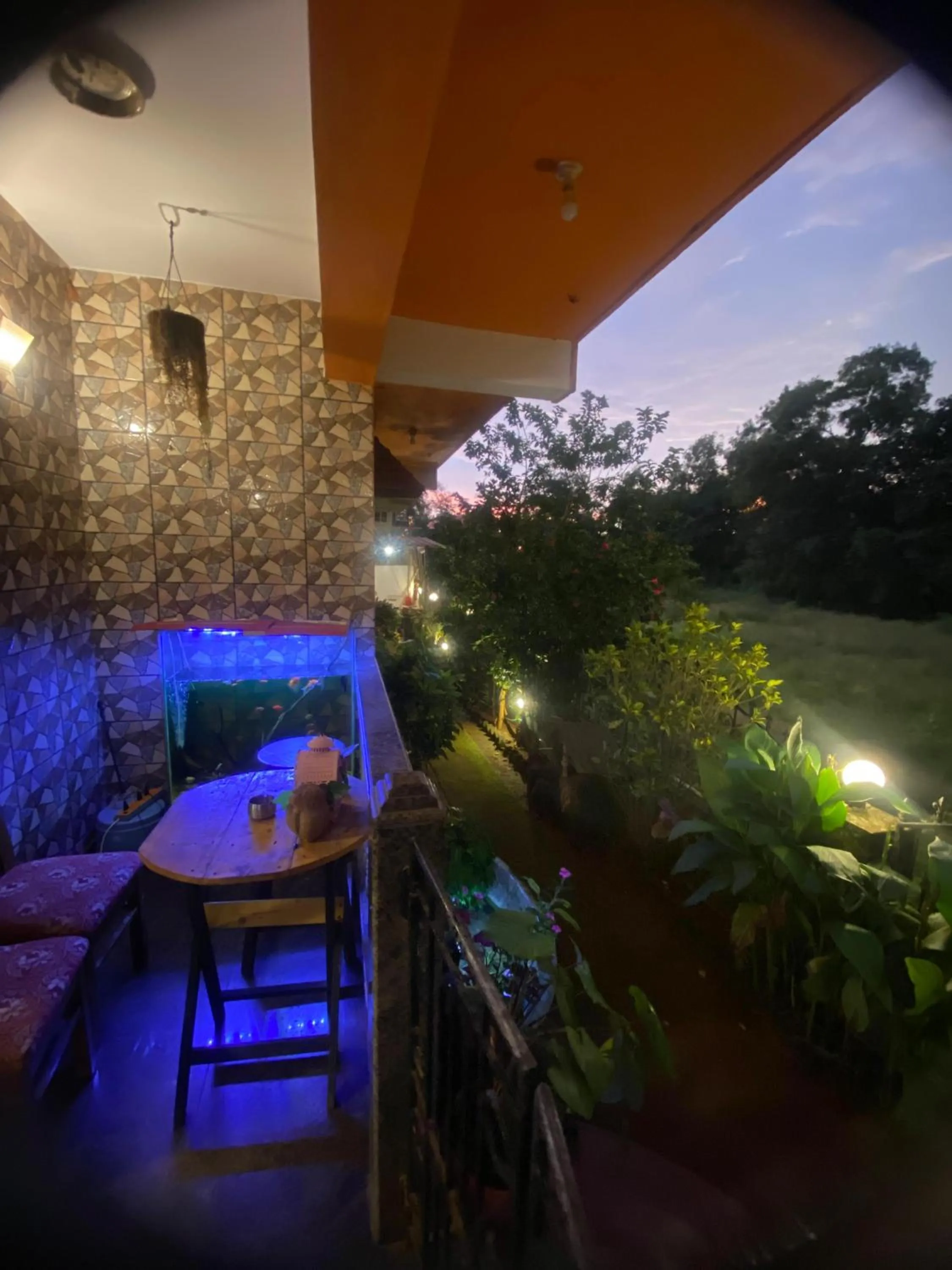 Last Minute Trip Hostel Morjim-By The Sea