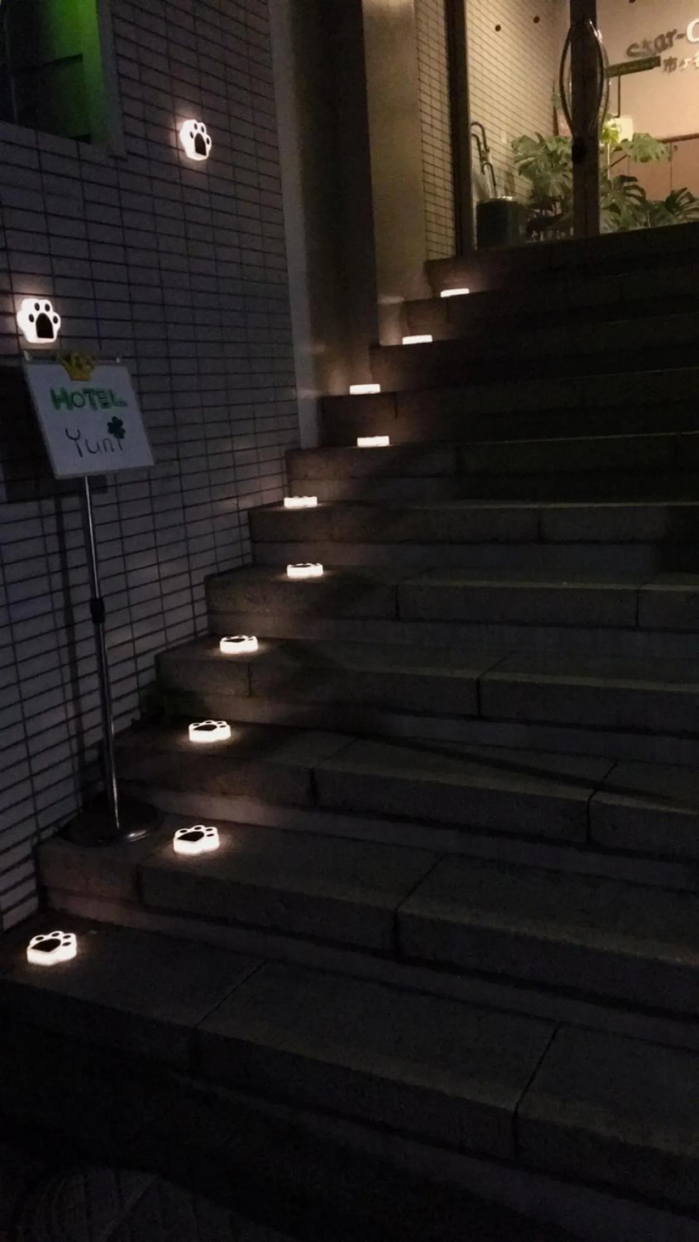 Night in Hotel Yuni Star-Club