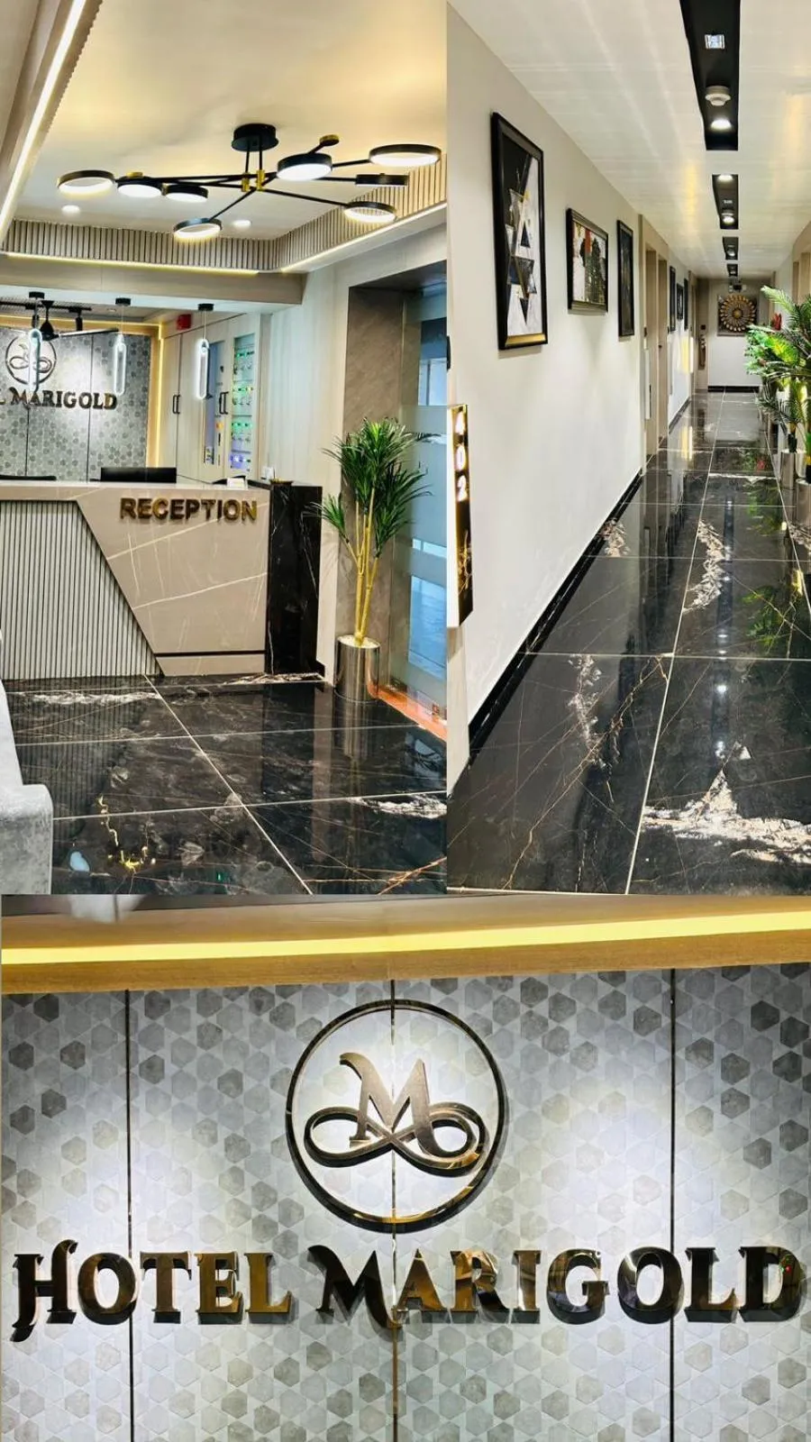Logo/Certificate/Sign in Hotel Marigold Naroda