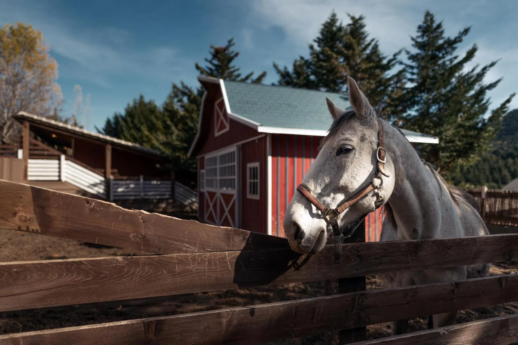 Vasilikia Mountain Farm & Retreat