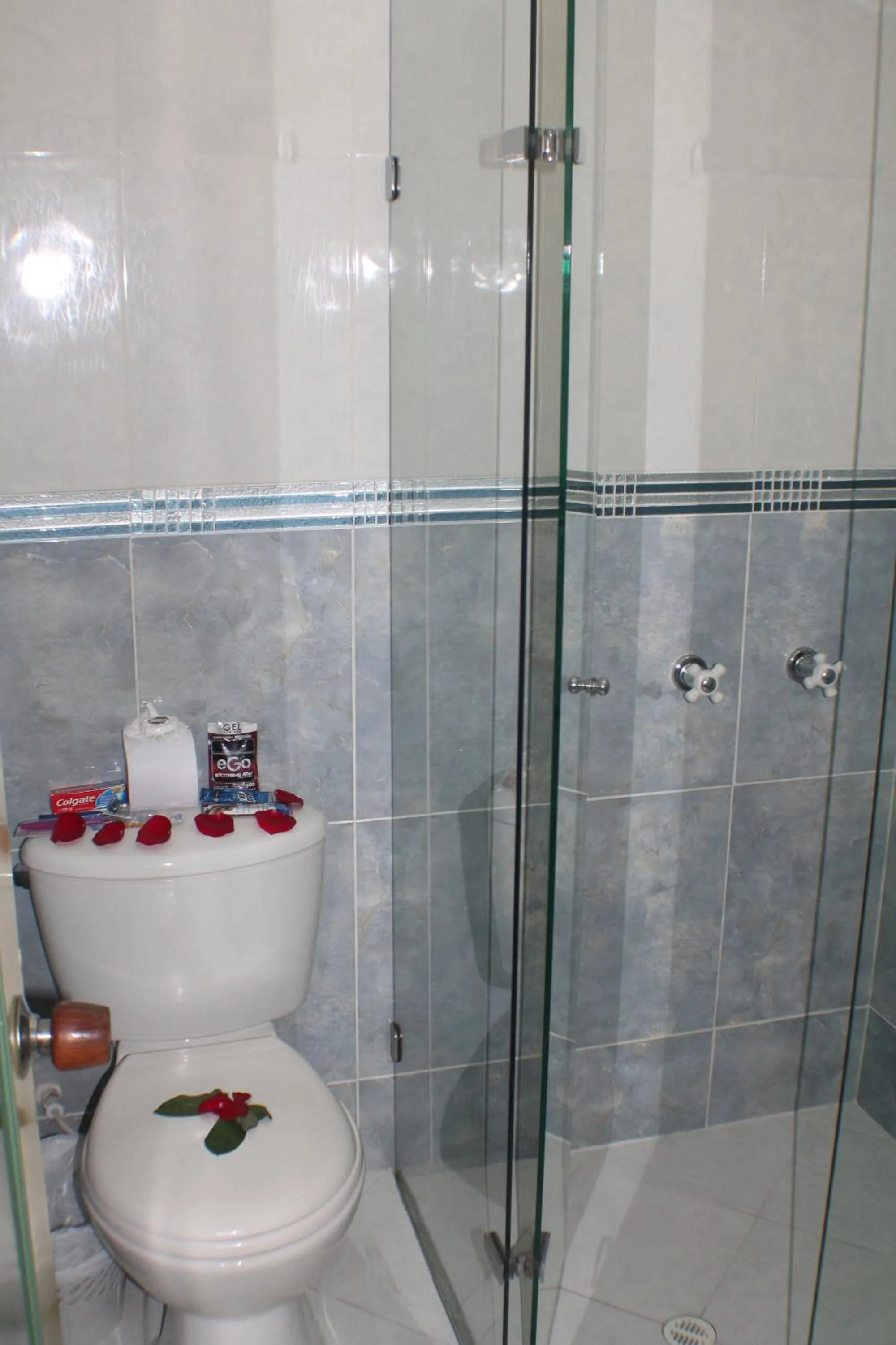Twin Room in Hotel Business