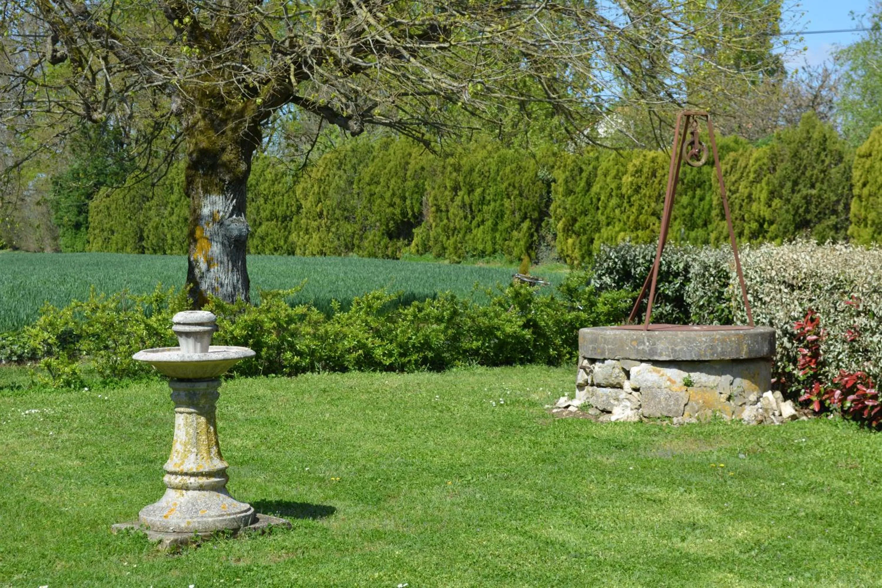 Garden in Aux 4 Cornes - Chambre d'hôtes