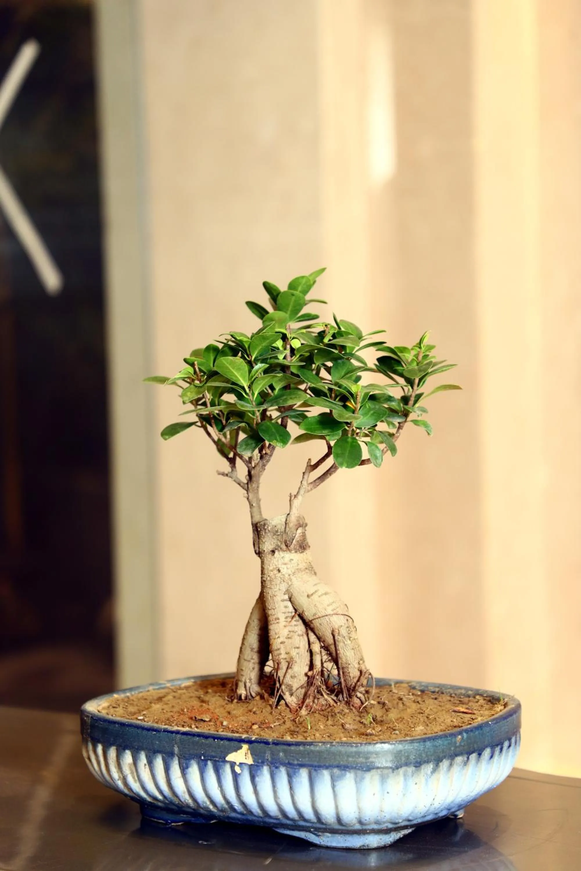 Decorative detail in BluSalzz Residence Amritsar