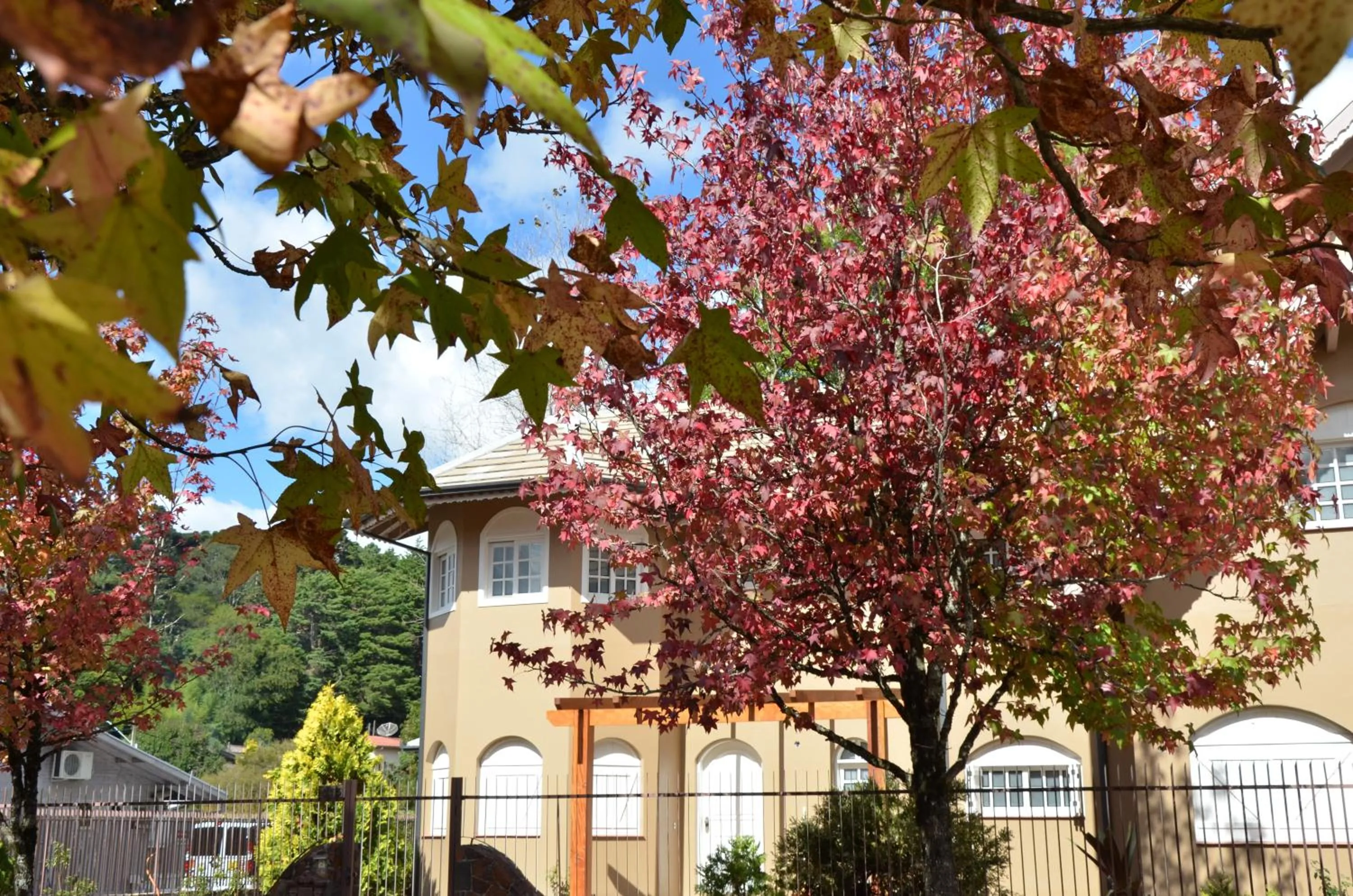 Facade/entrance in Pousada La Lavande
