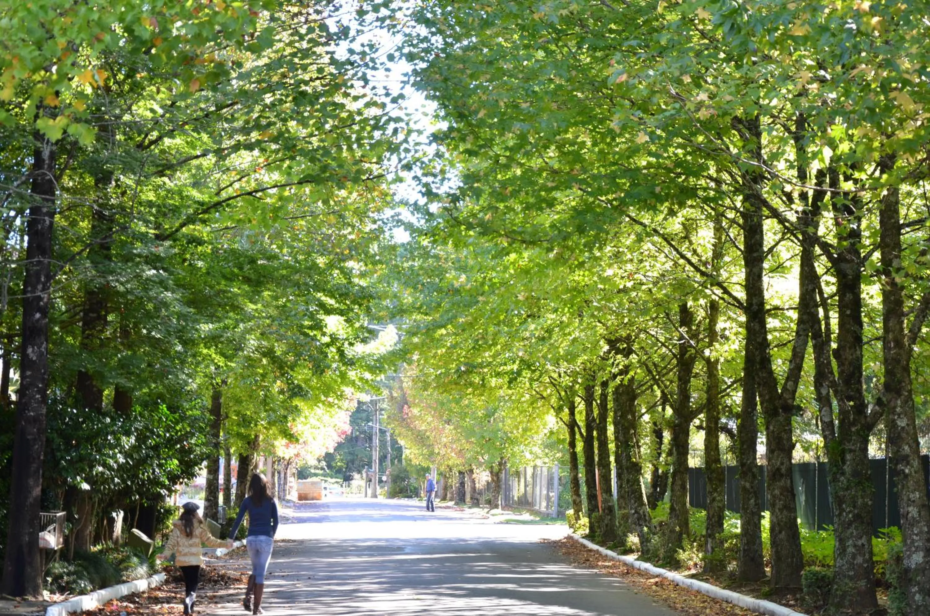 Street view in Pousada La Lavande