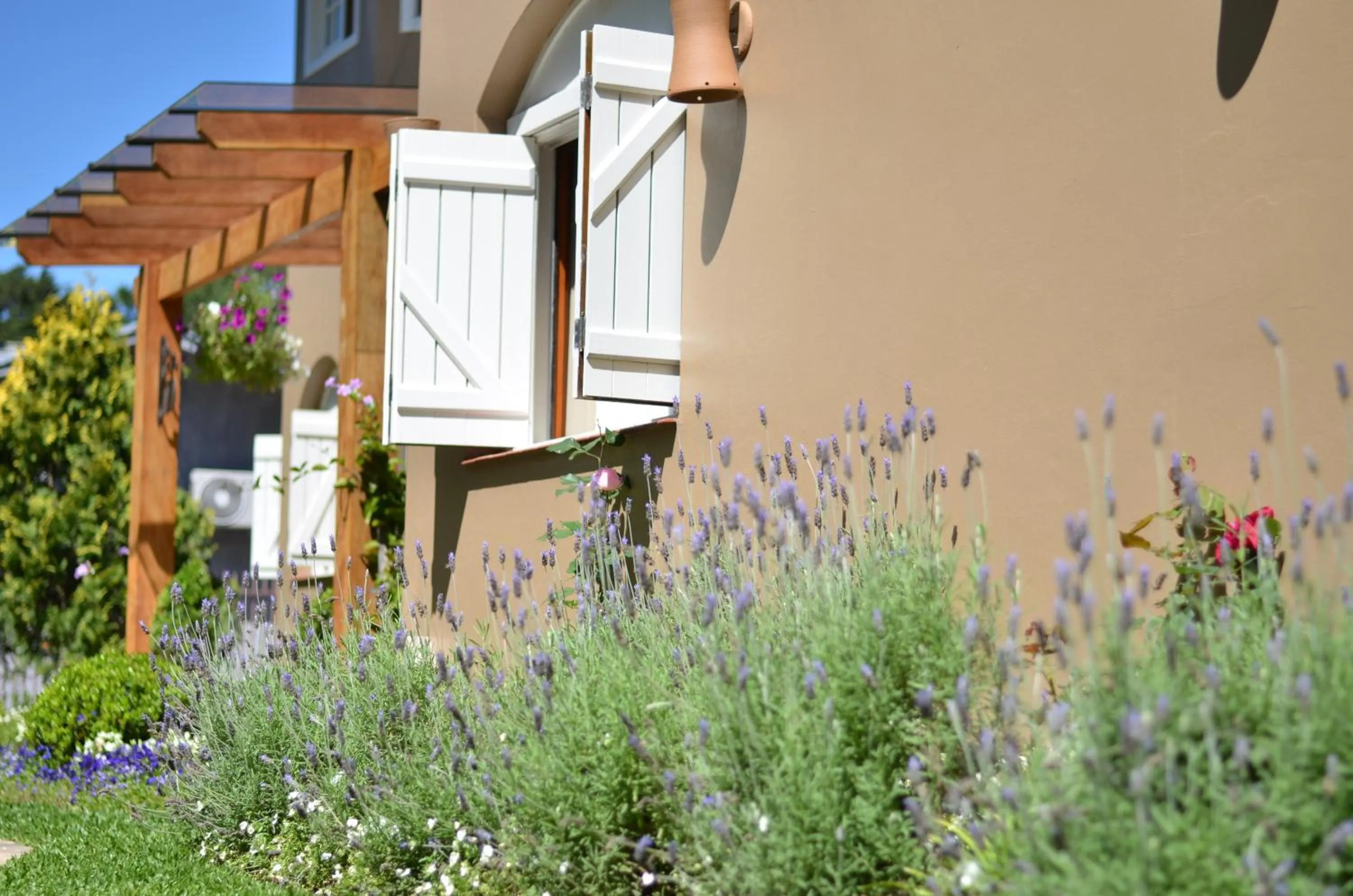 Garden in Pousada La Lavande