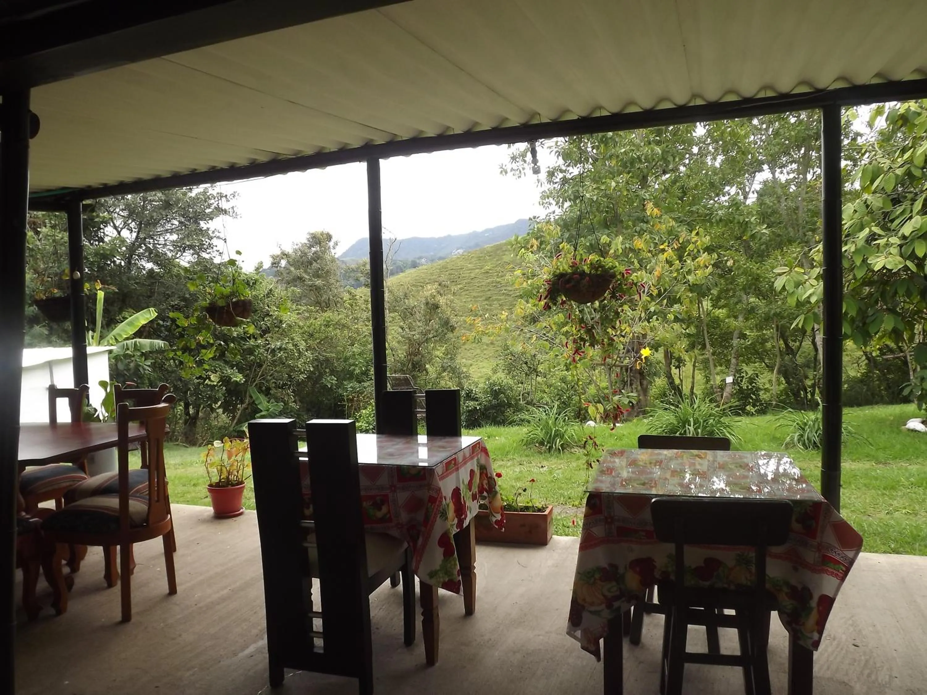 Mountain view in El ZORZAL