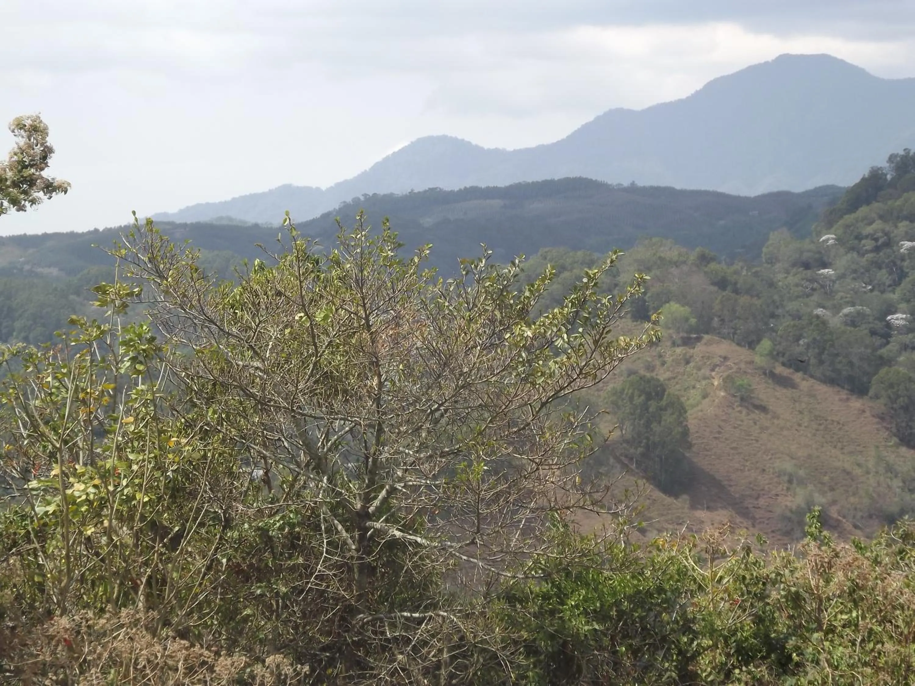 Mountain view in El ZORZAL