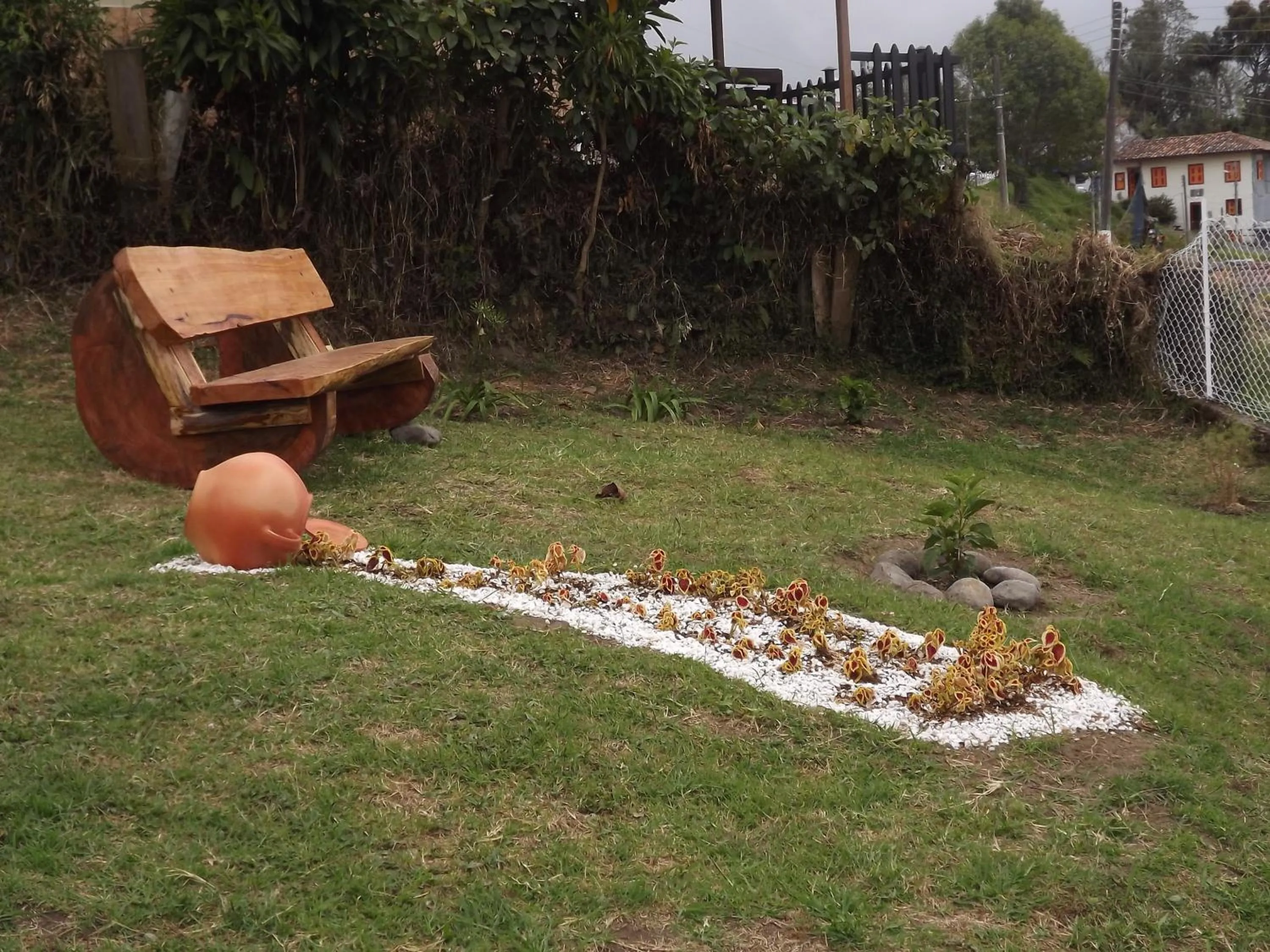 Garden view in El ZORZAL