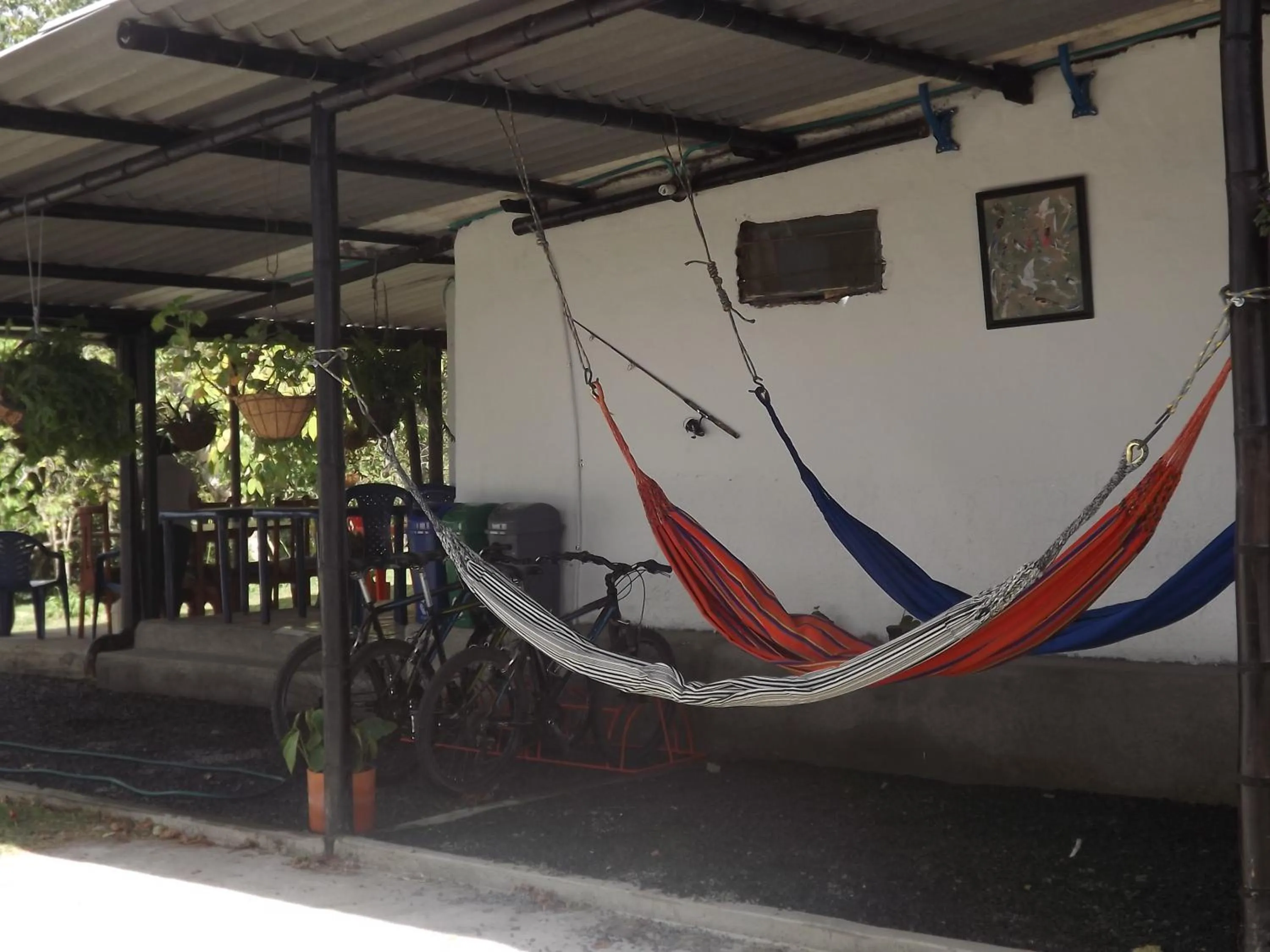 Entertainment in El ZORZAL