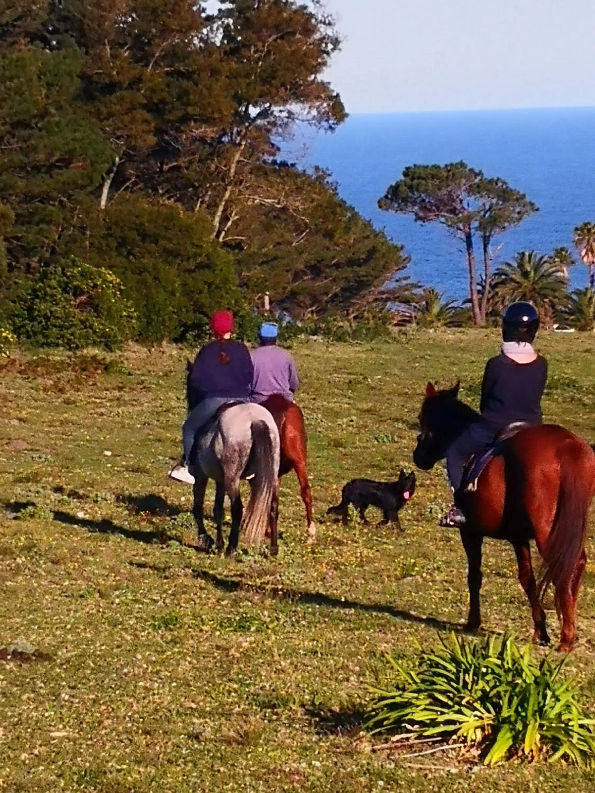 Natural landscape in Tsitsikamma on Sea Resort