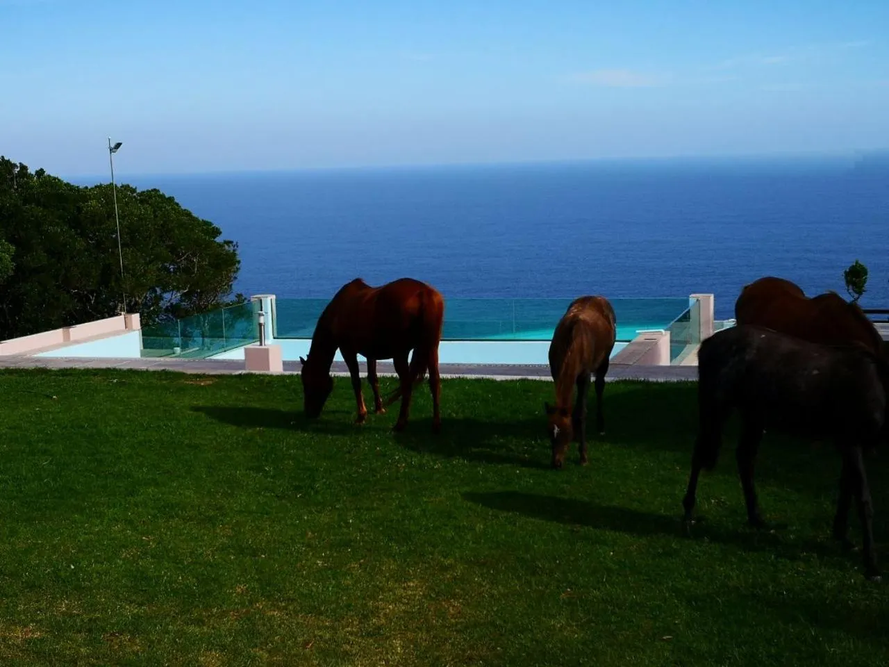 Natural landscape in Tsitsikamma on Sea Resort