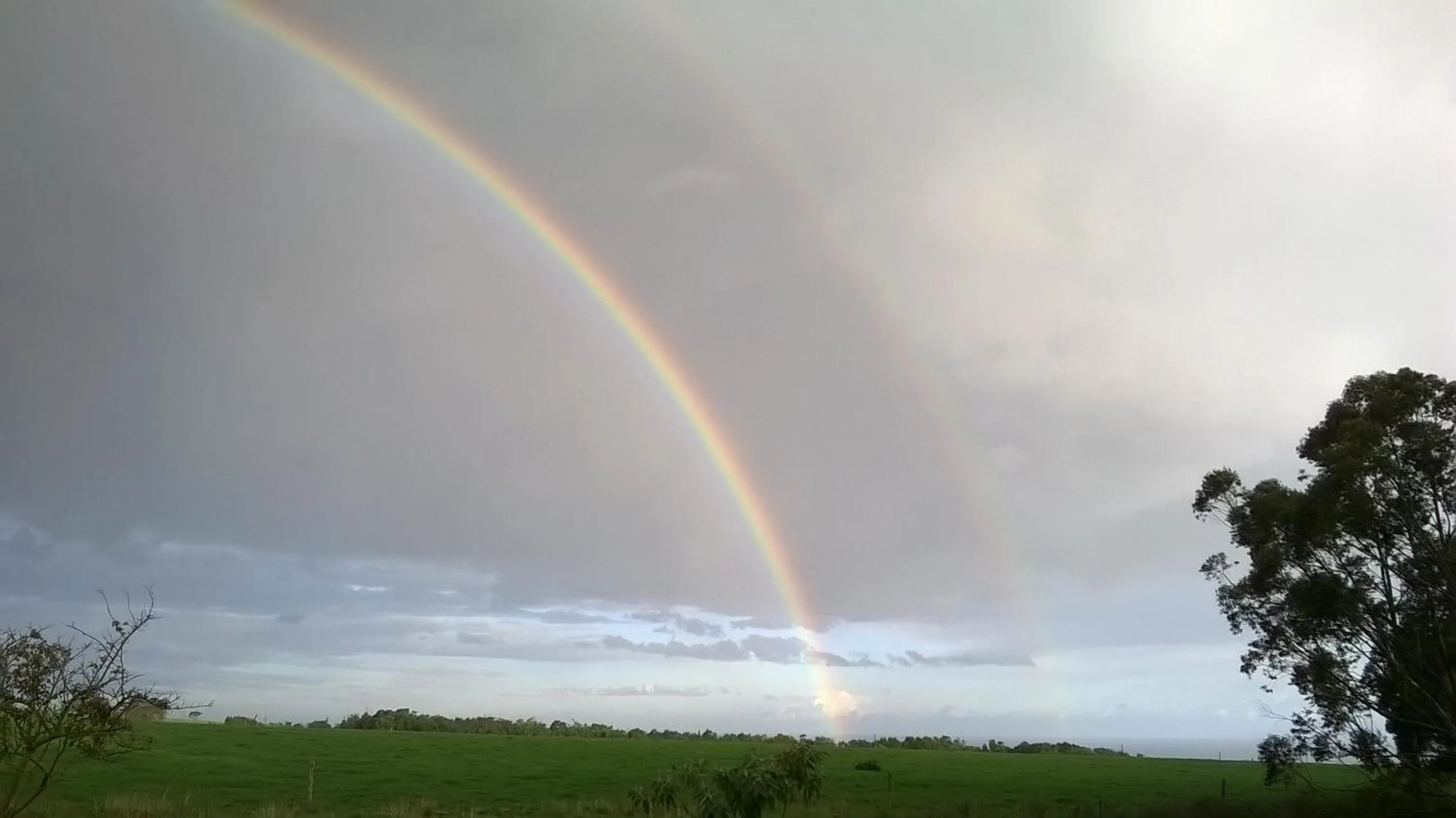 Day in Tsitsikamma on Sea Resort