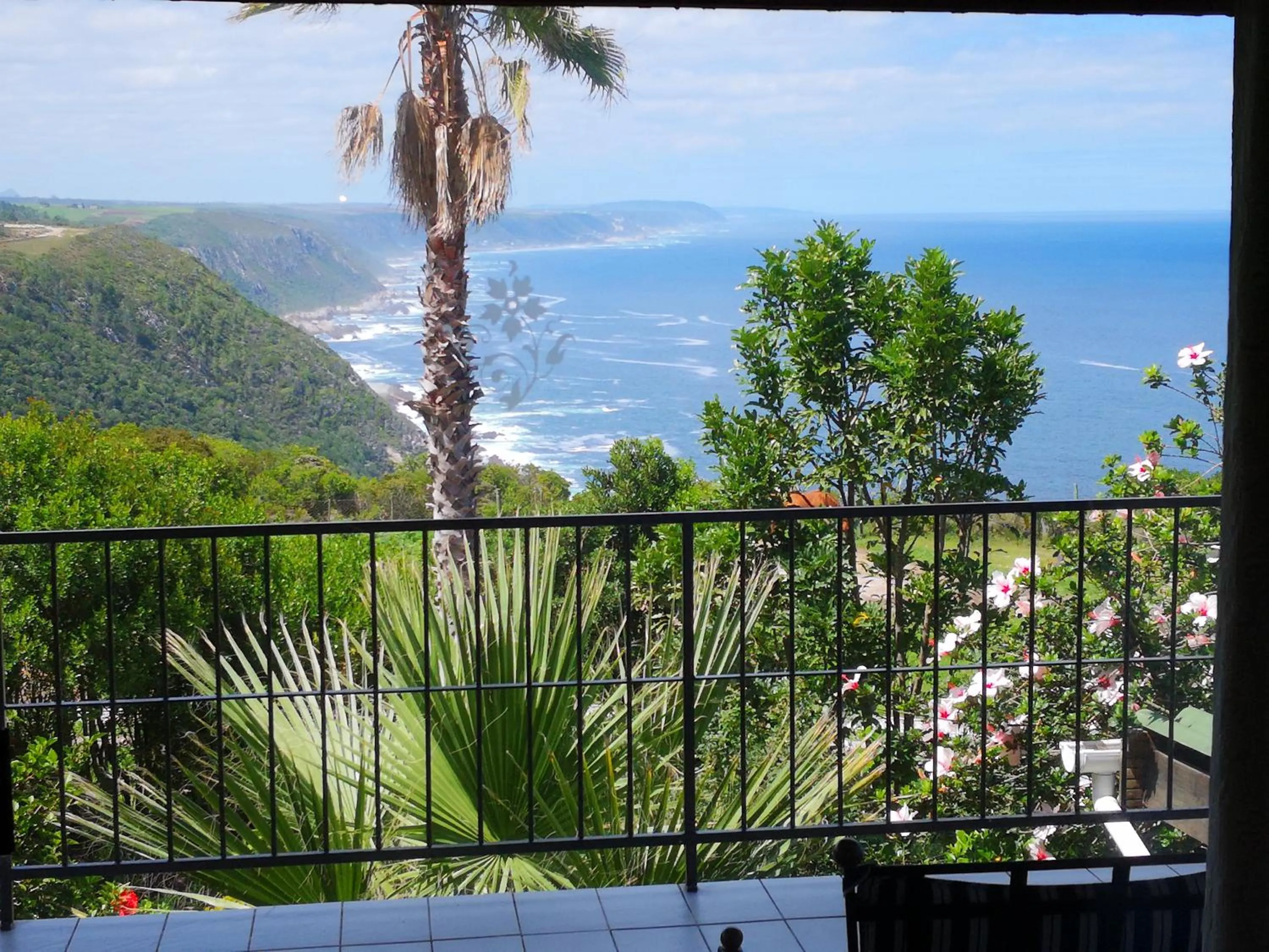 Natural landscape in Tsitsikamma on Sea Resort