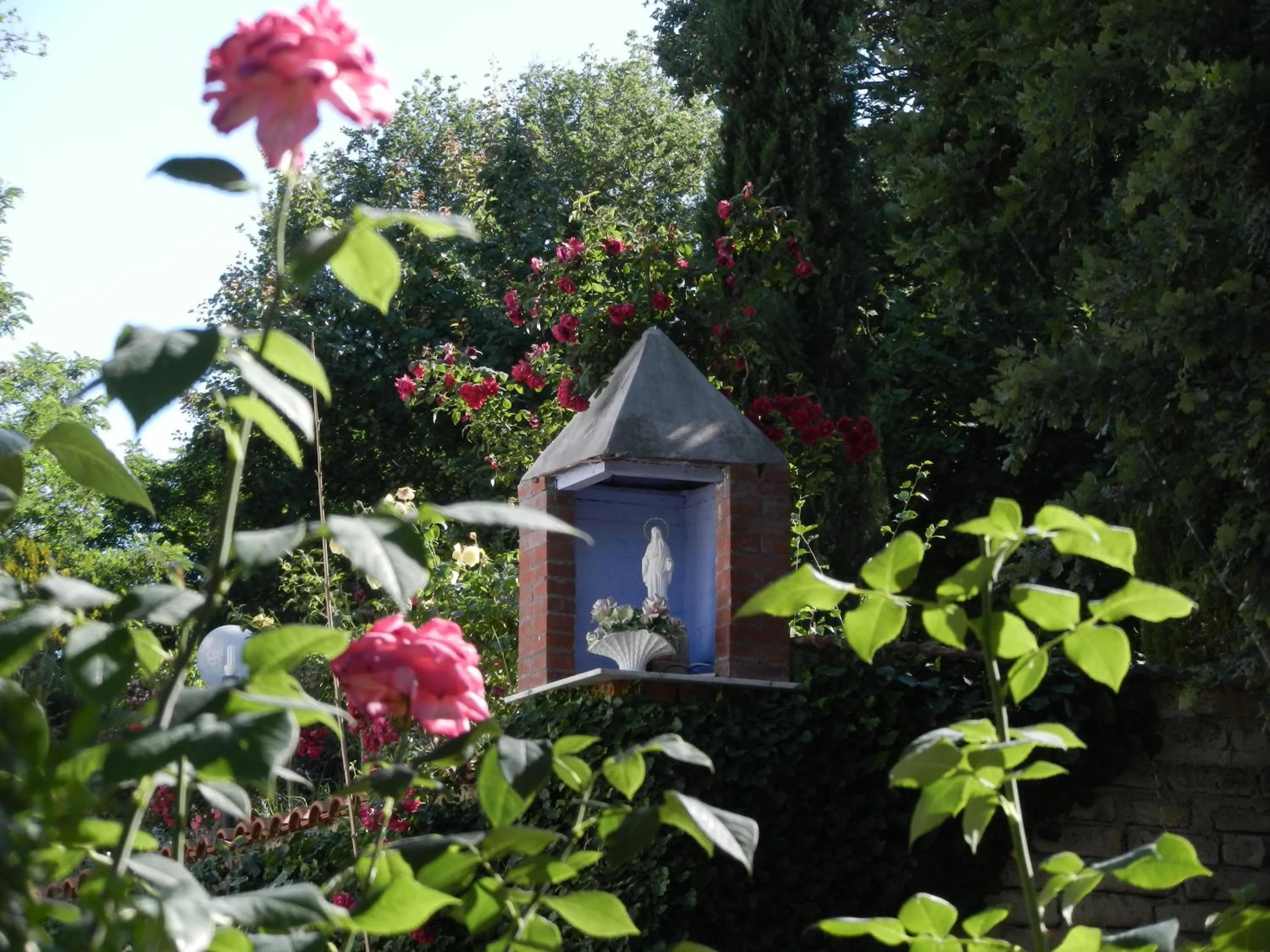 Garden view in Boscodisotto