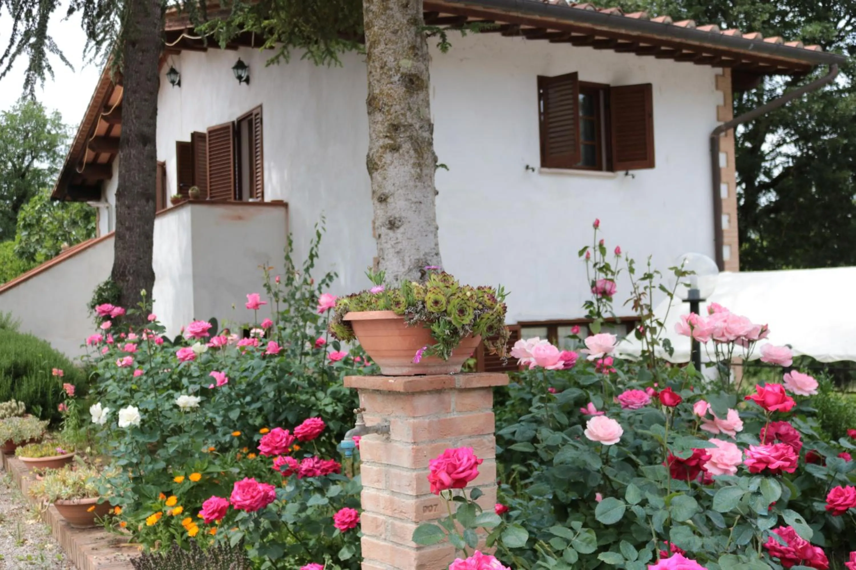 Garden view in Boscodisotto