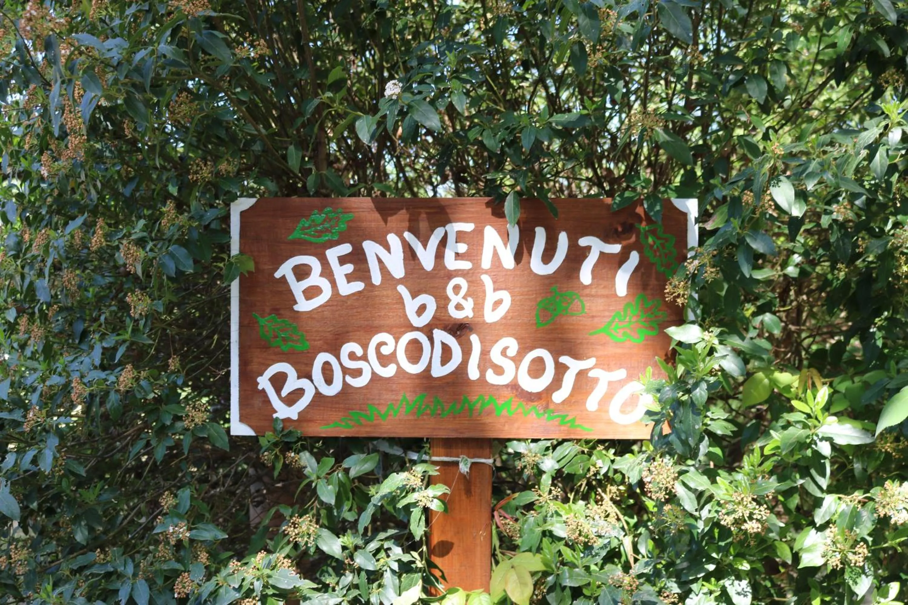 On site in Boscodisotto