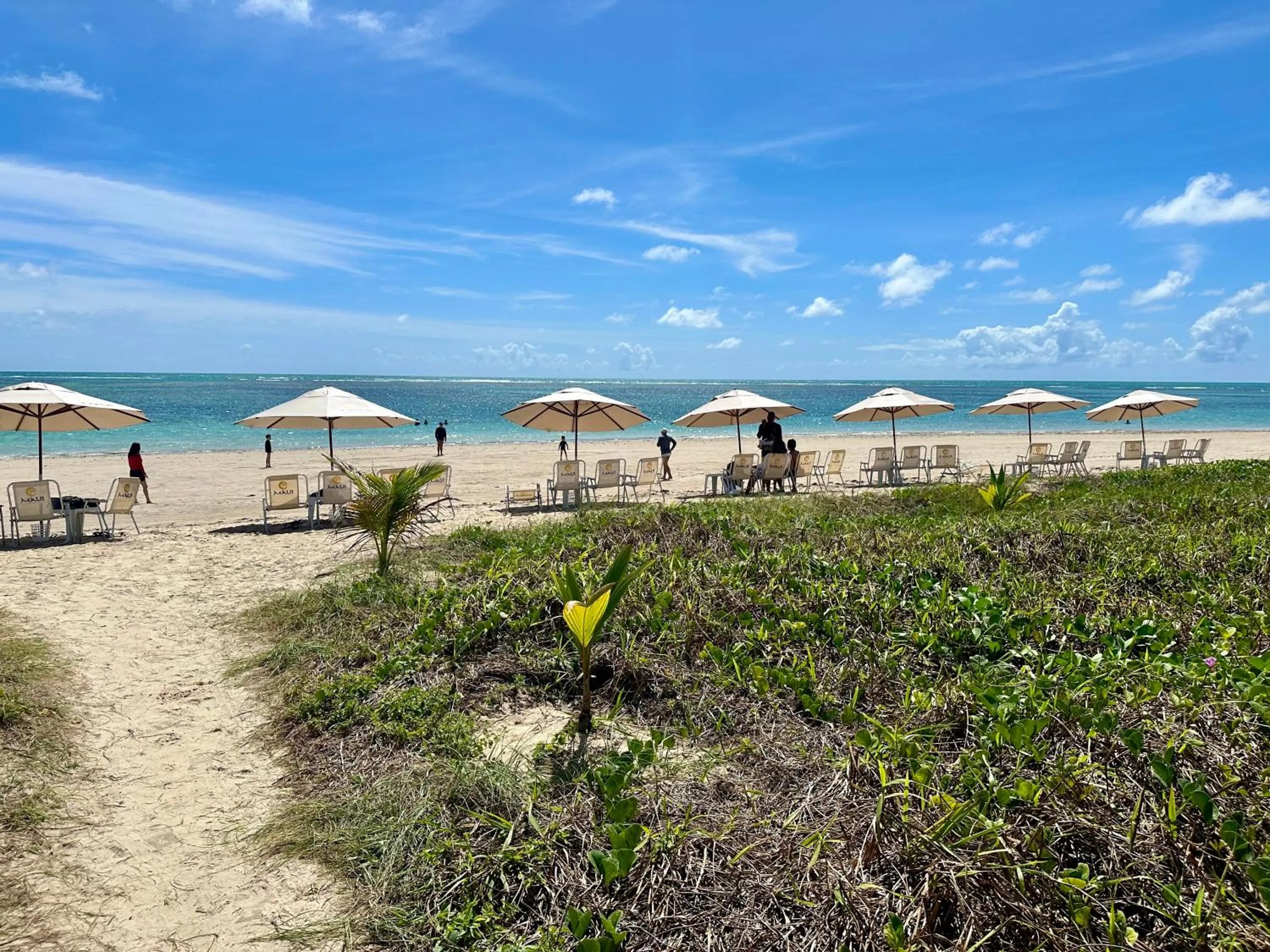 Beach in Flat Luxo - Pé na Areia - Maui Beach Residence