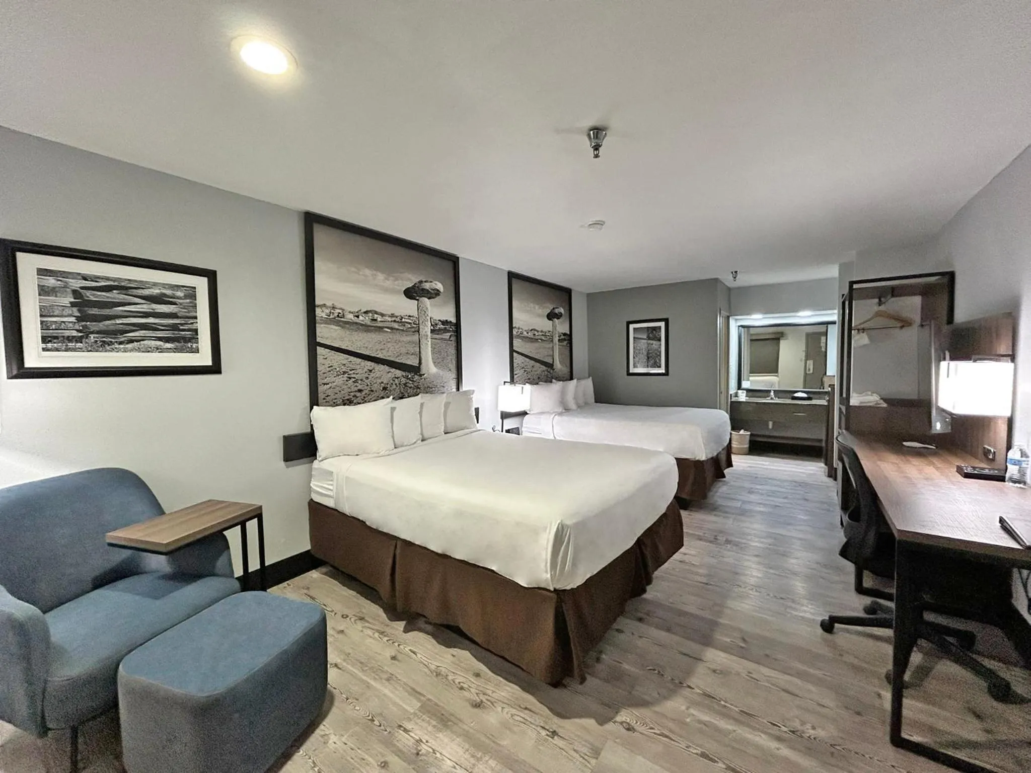 Bed in SureStay Plus by Best Western Cannon A.F.B.