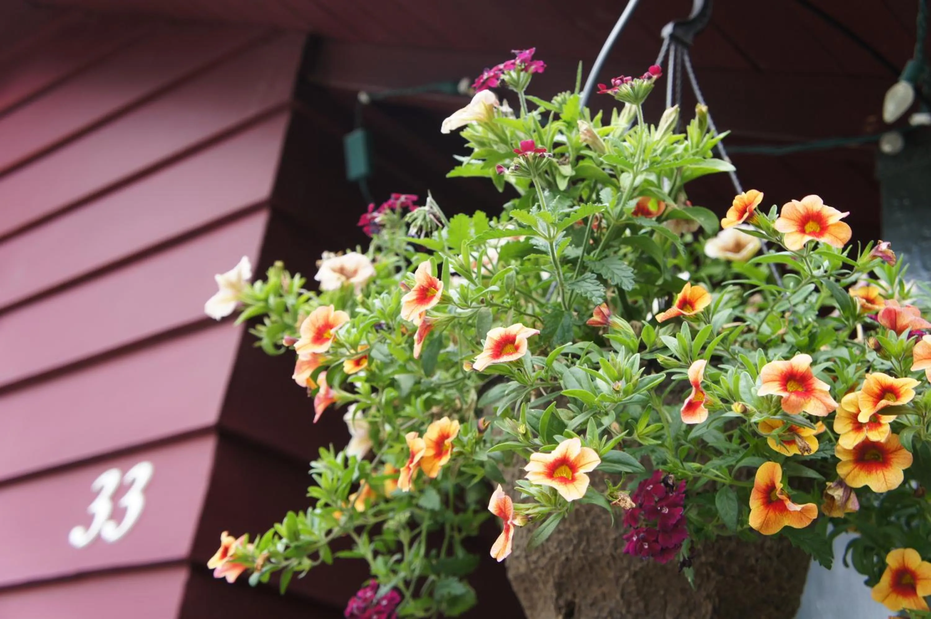 Decorative detail in Fairmont Mountain Bungalows