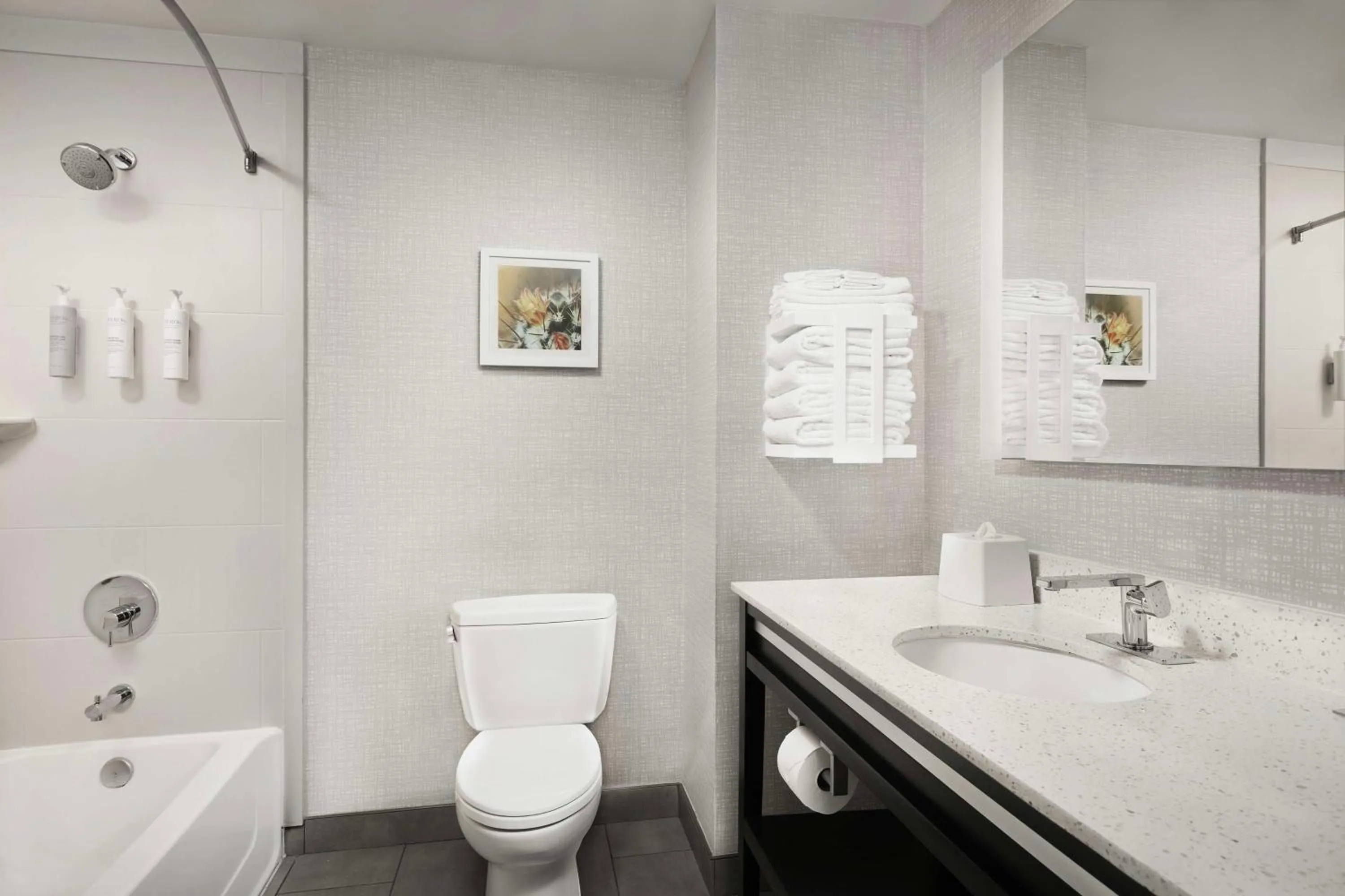 Bathroom in Hampton Inn & Suites El Paso/East