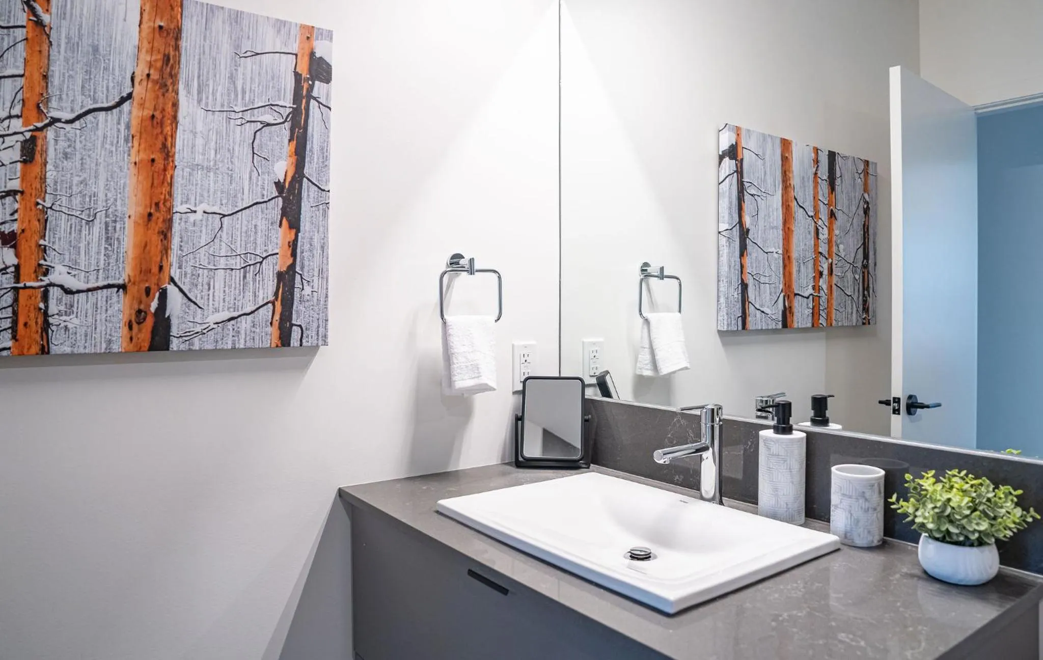 Revylation by Revelstoke Vacations